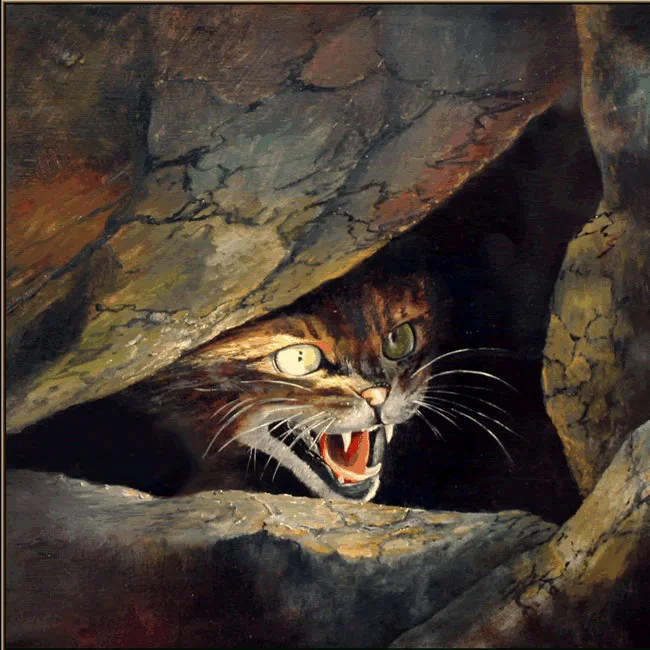 Scottish wild cat_gif.jpg
