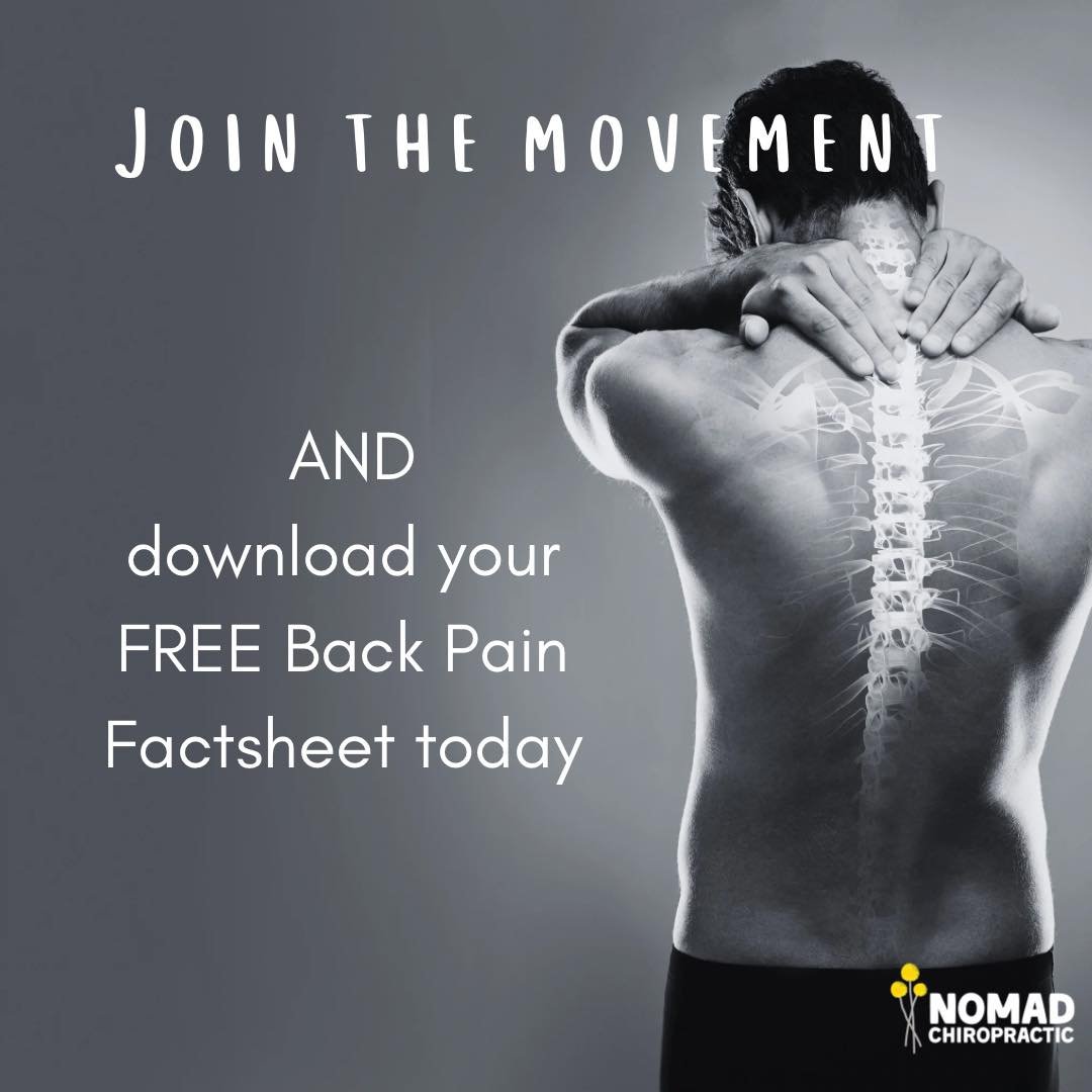 👏🏼 Join the Movement!
.
Have a read of the Back Pain Fact Sheet!
.
Head to:
.
Www.nomadchiropractic.com.au/nomadchiropracticblog/2024/5/8/back-pain-fact-sheet
.

.
.
.
#spinalhealthweek #consultachiro #spinalhealthforeverybody #backpain #chiropract