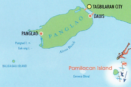 Pamilican1.png