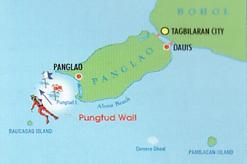 PungtubWall1.png