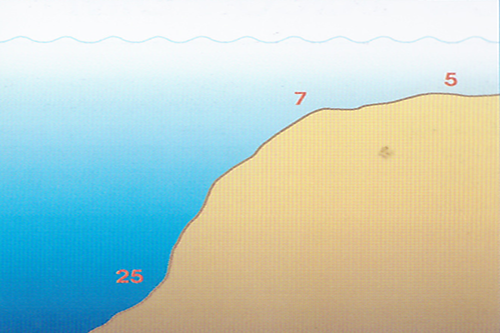 BoholBeachClub2.png