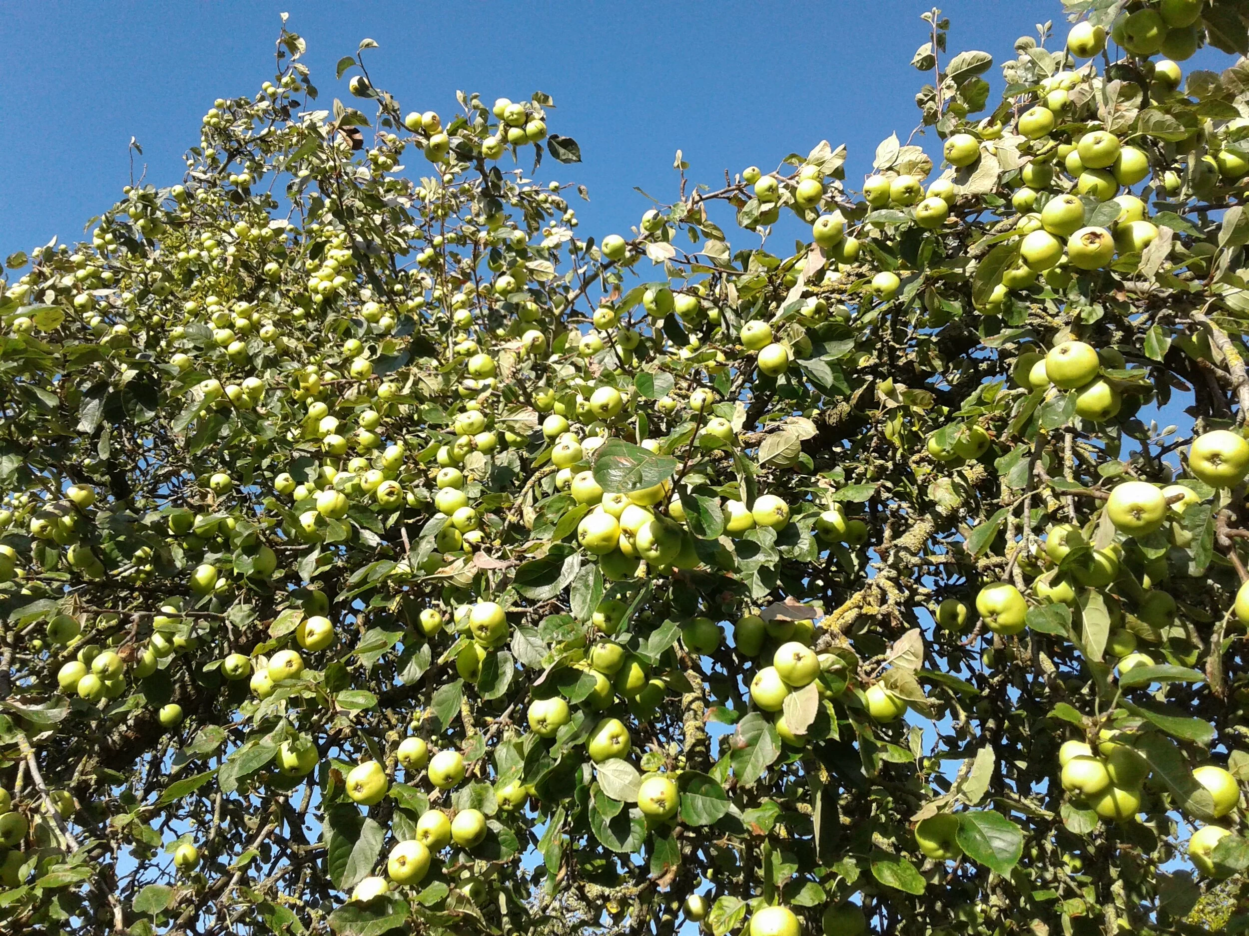 20191013_164111.jpg
