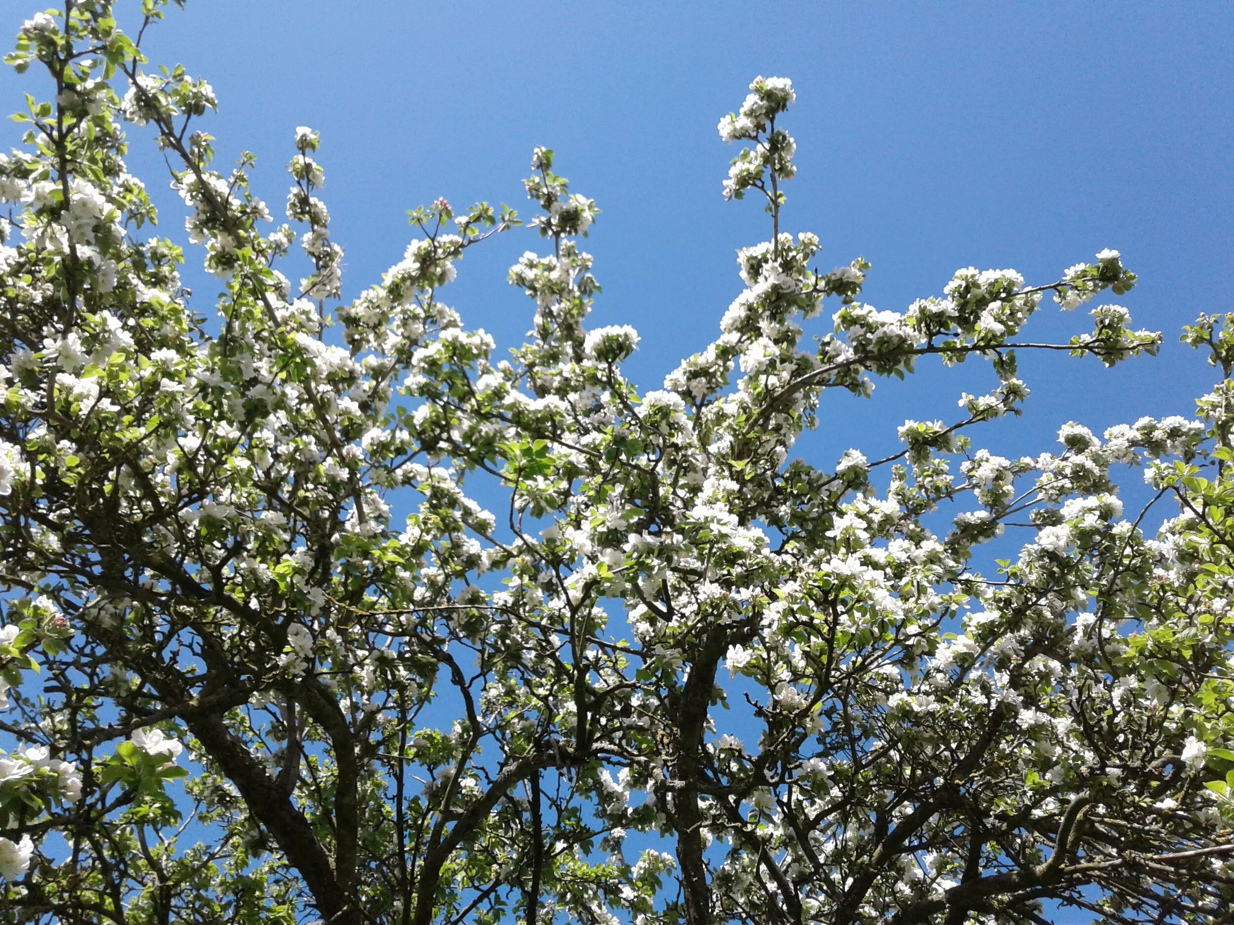 20190427_145202.jpg