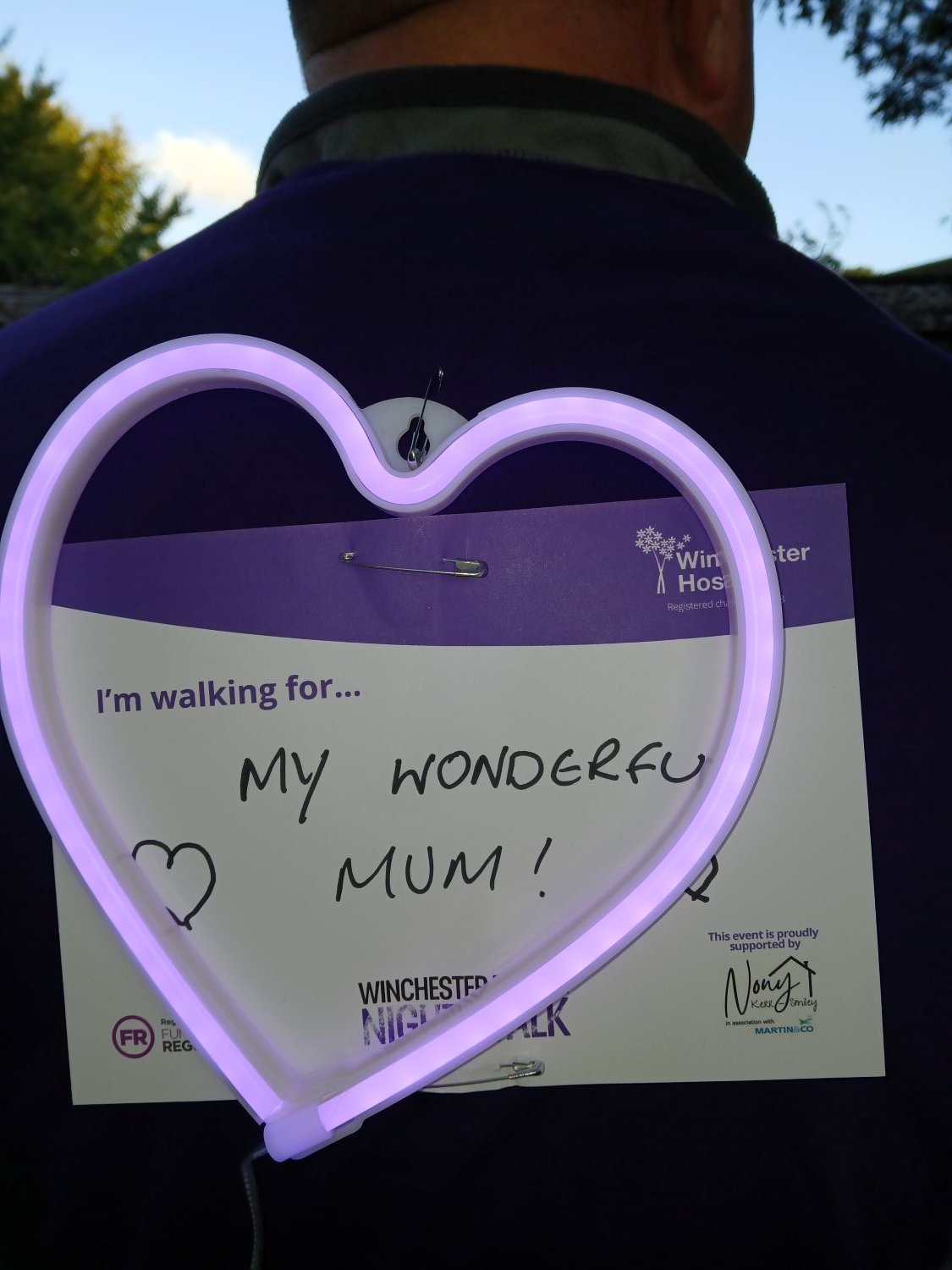 Purple Night Walk 2.jpg
