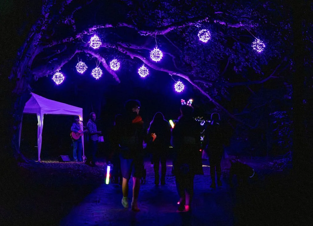 PurpleNightWalk-2-110.jpg