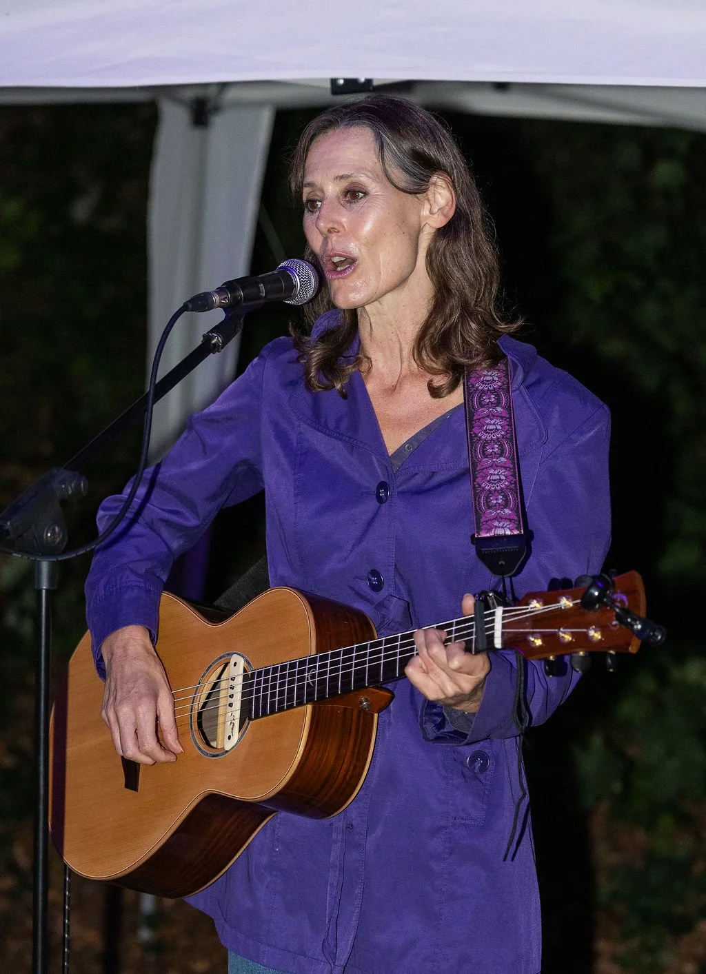 PurpleNightWalk-2-114.jpg