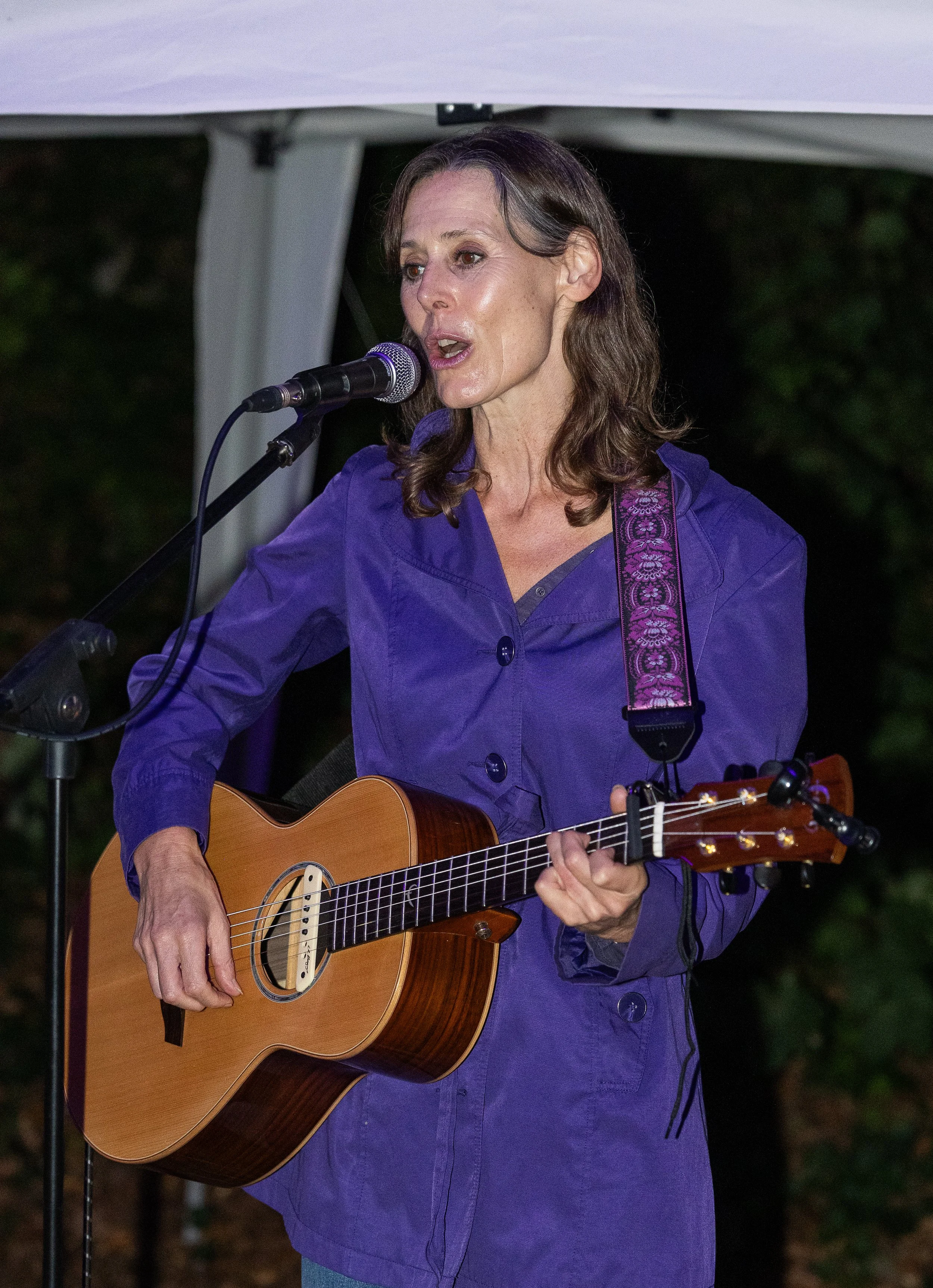 Juliet Howland concert in aid of Winchester Hospice