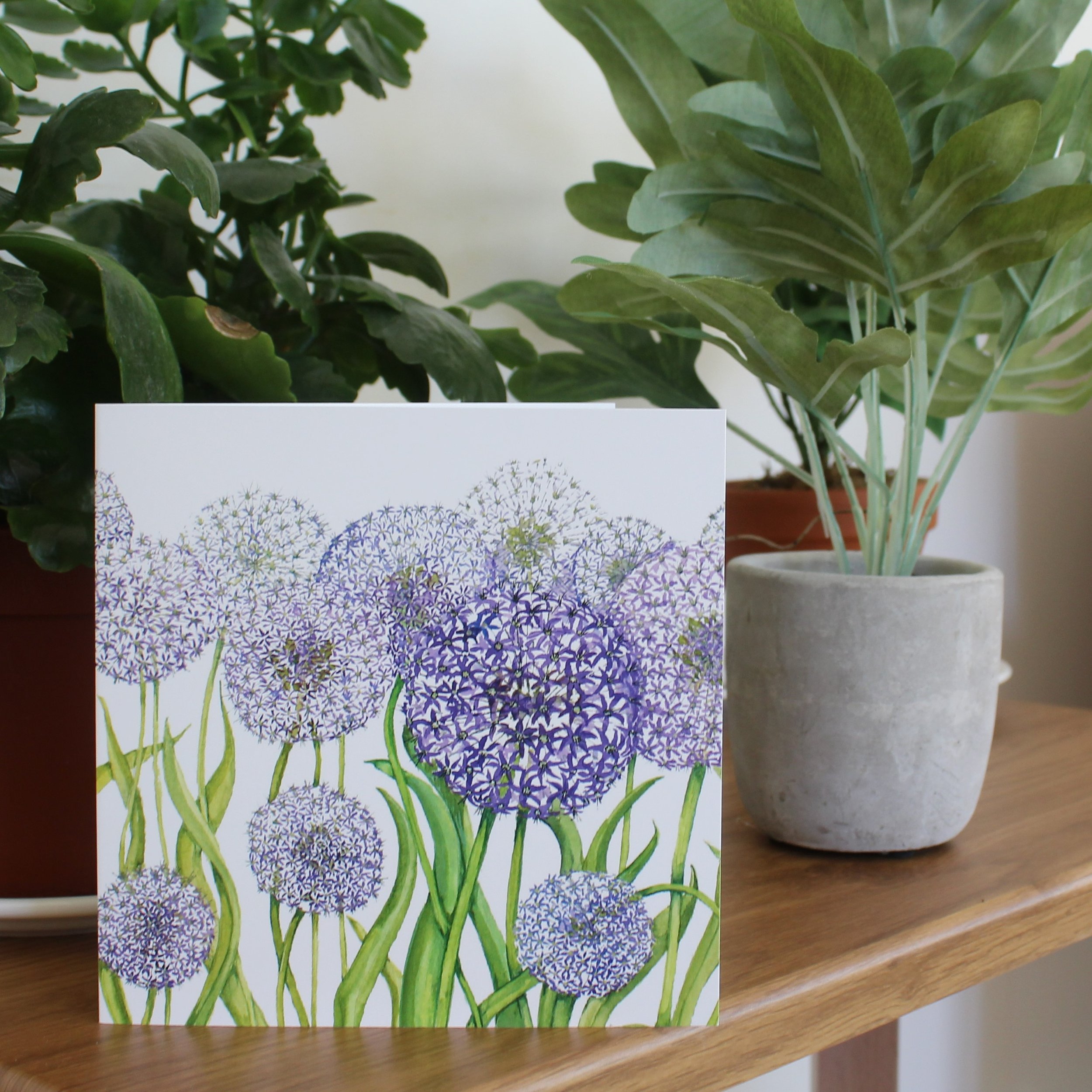 Allium Field Greeting Card