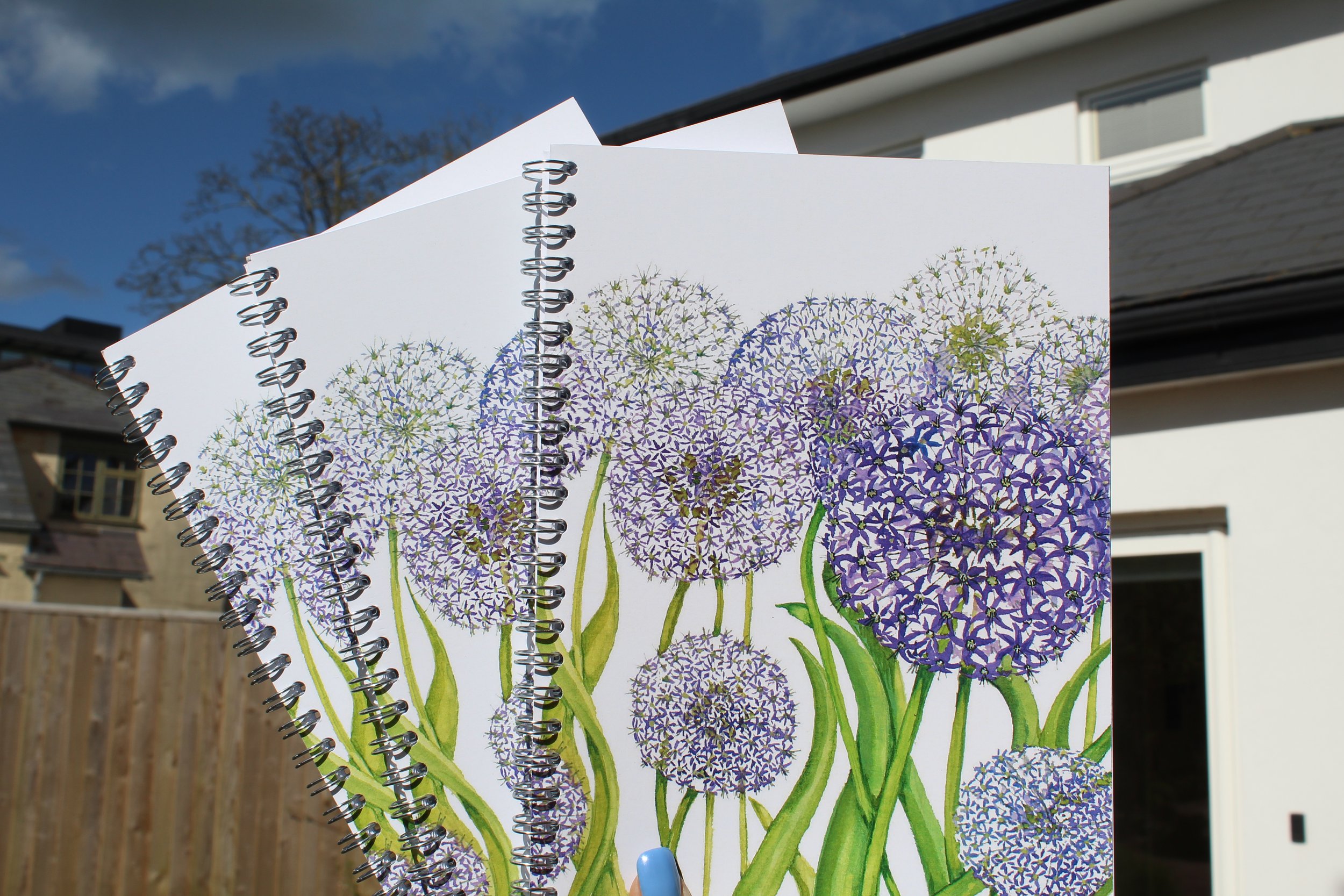 Allium Field Notebook