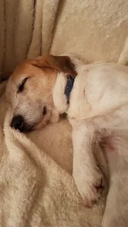 28471963_10155111229011254_4261104000227922006_n.jpeg