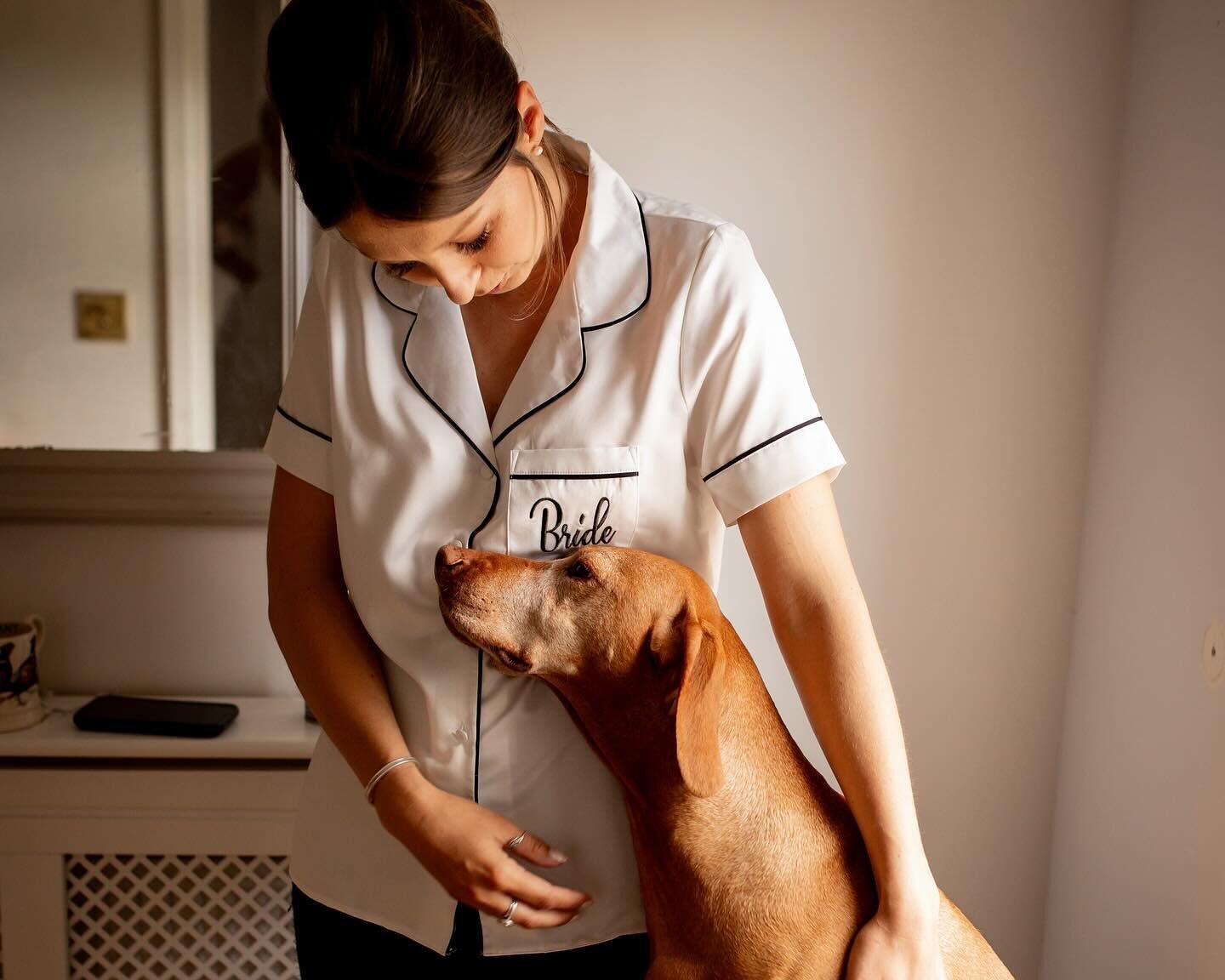 Today is Love your pet day! Anyone who knows us, knows we are very keen at meeting all your 4 legged loves at your wedding. 

We had to have a whole post of Flurry from last year, possibly the most well behaved guest!