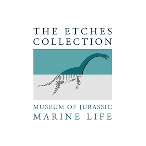 The Etches Collection - Kimmeridge, 2016
