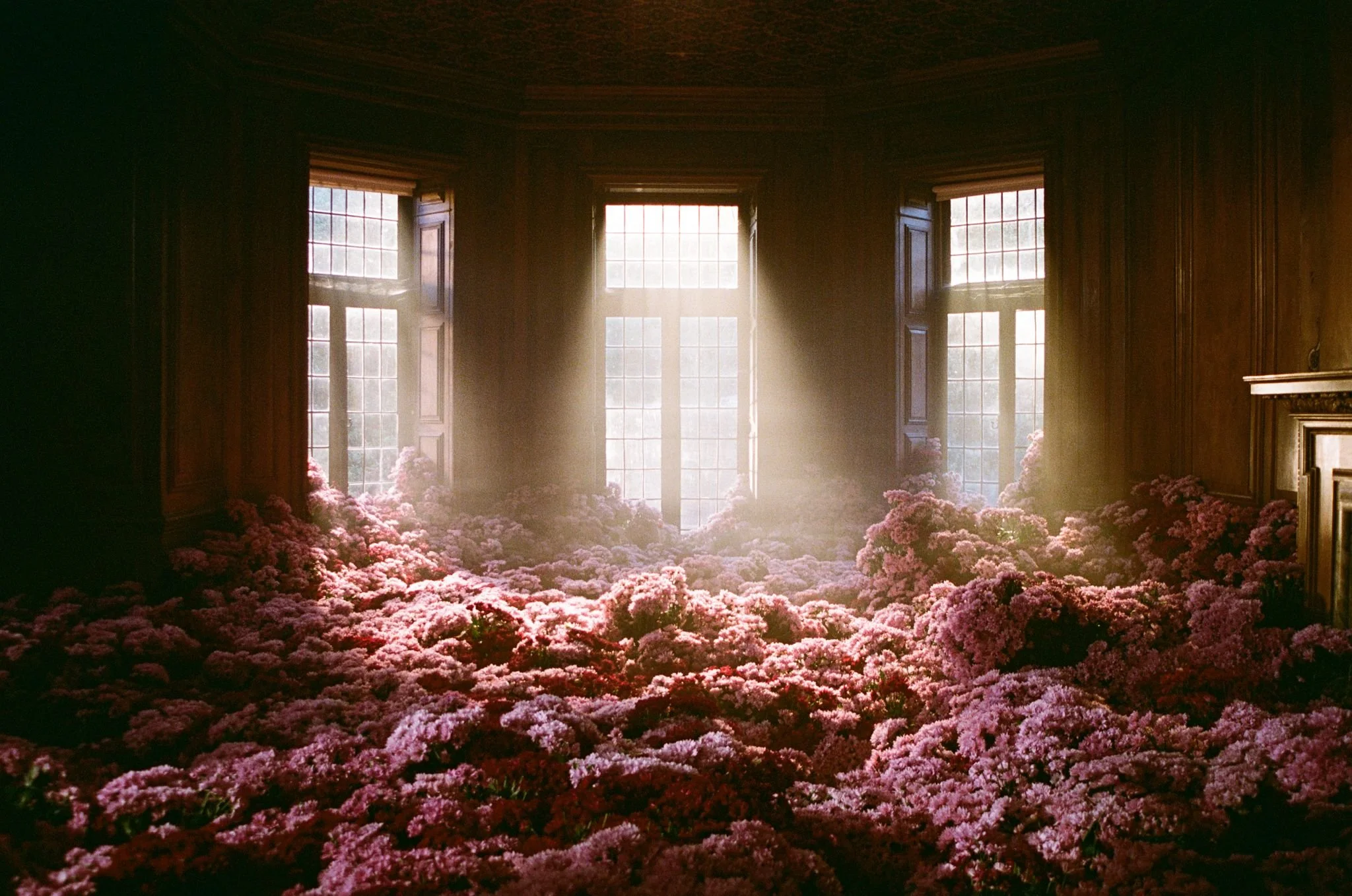 bba5fe40-c4b3-42aa-aee9-5cbb0641e6e7 2.JPG