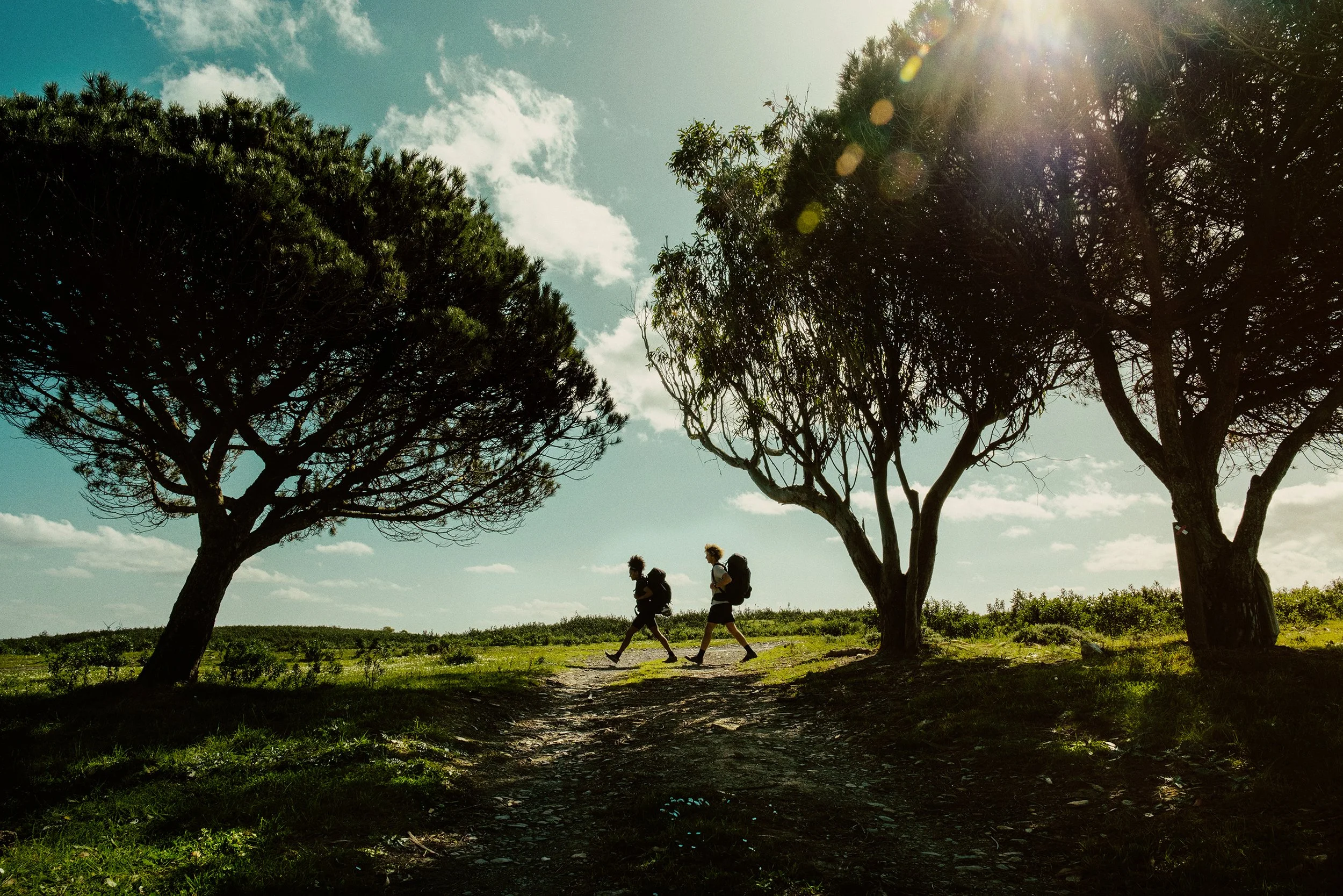 DSCF3139_C2_sRGB copy.jpg