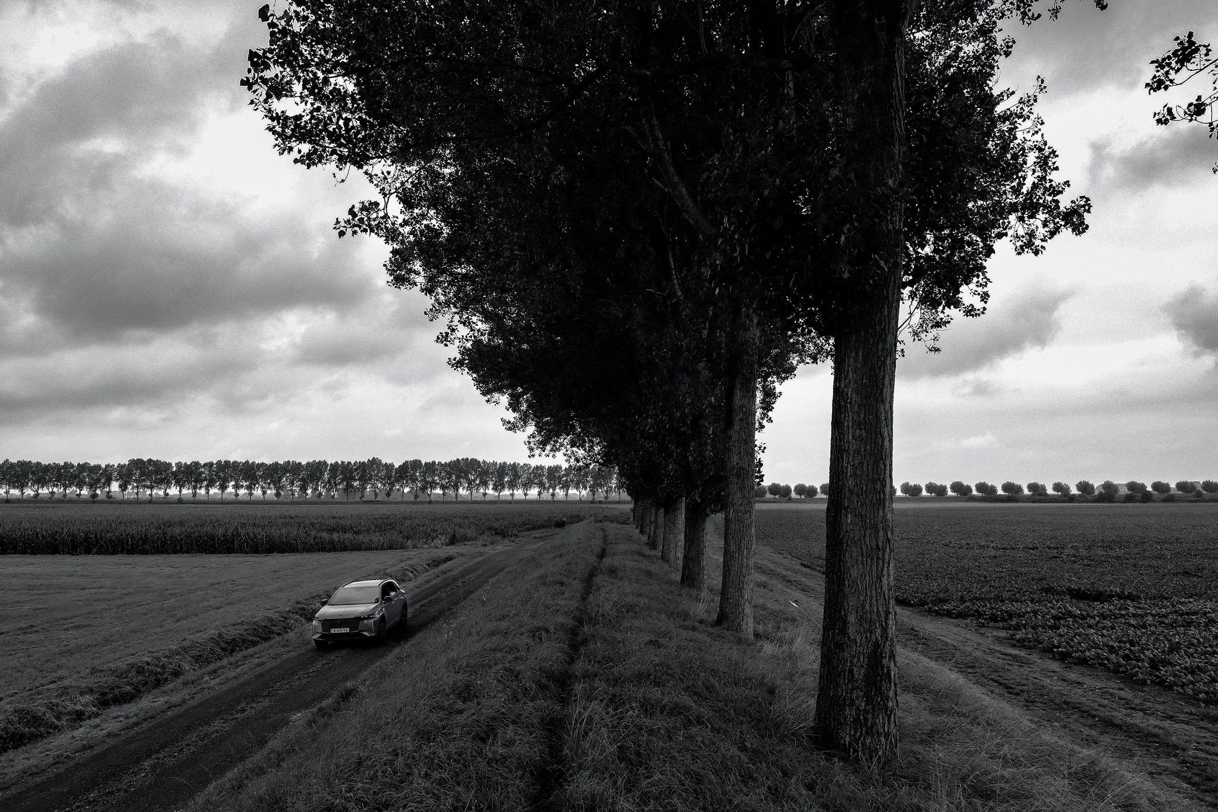 DSCF2021_C2_sRGB copy.jpg