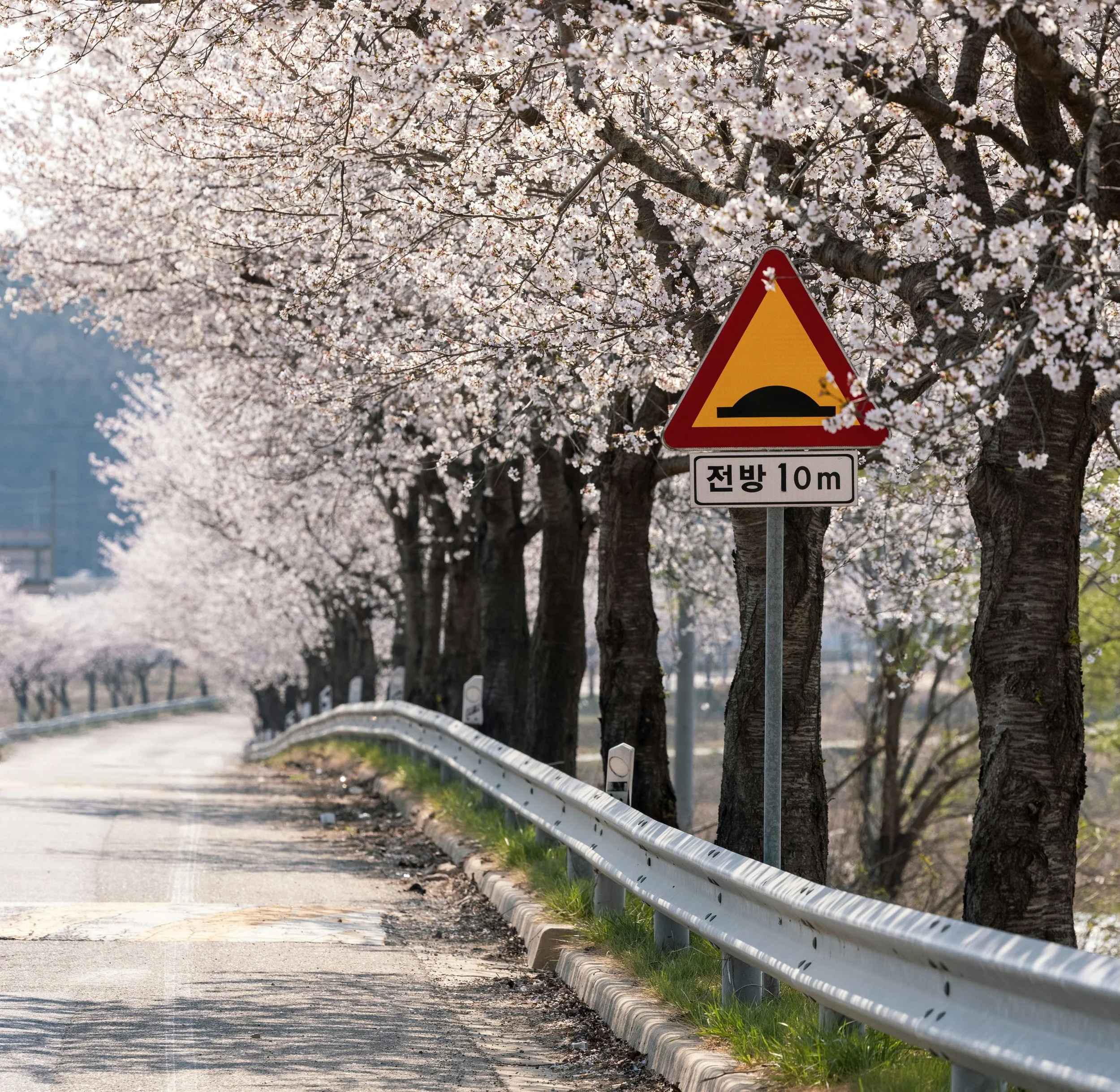 Read efficiency issues in Postgres queries