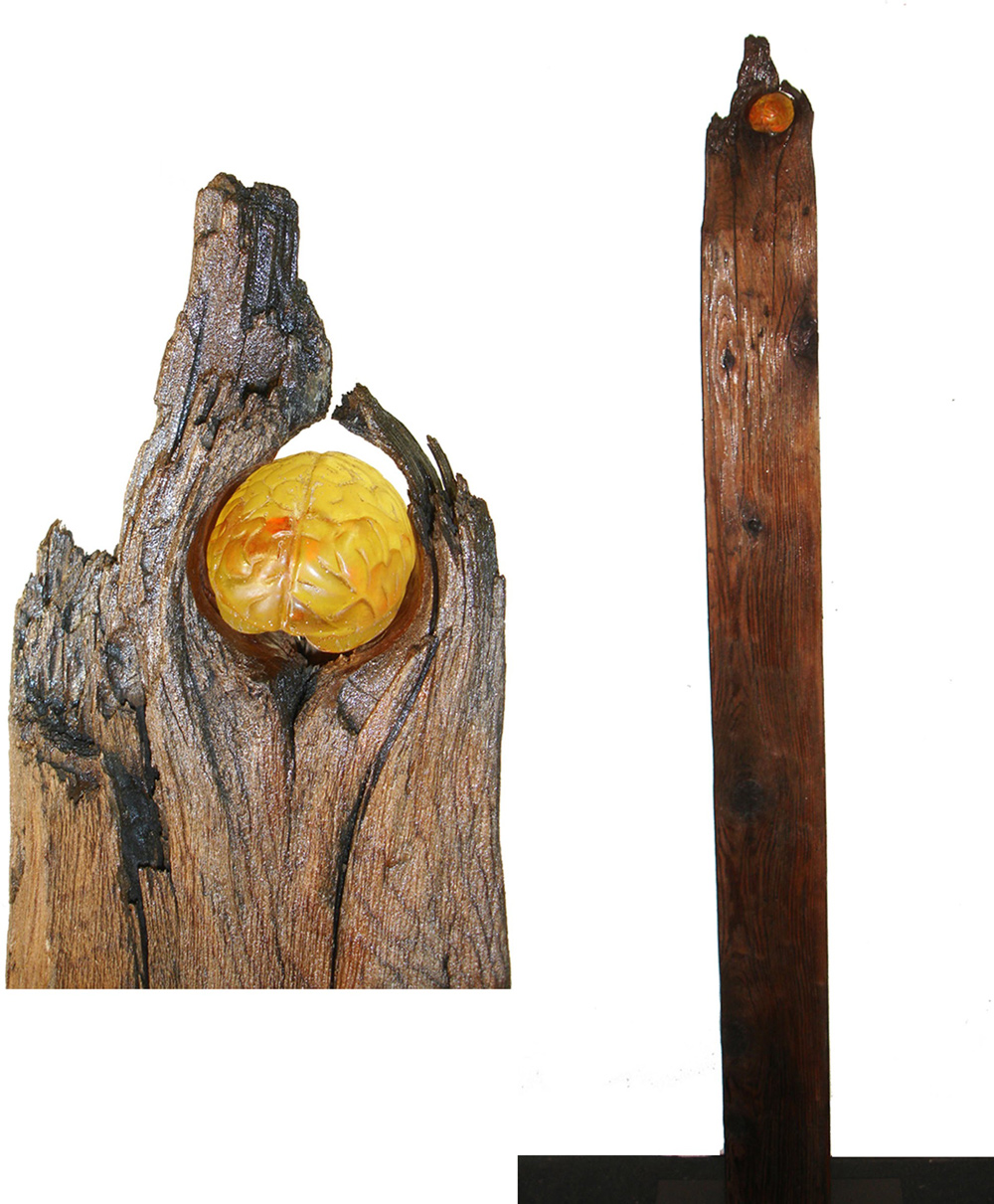 Regeneration-dyptich.jpg