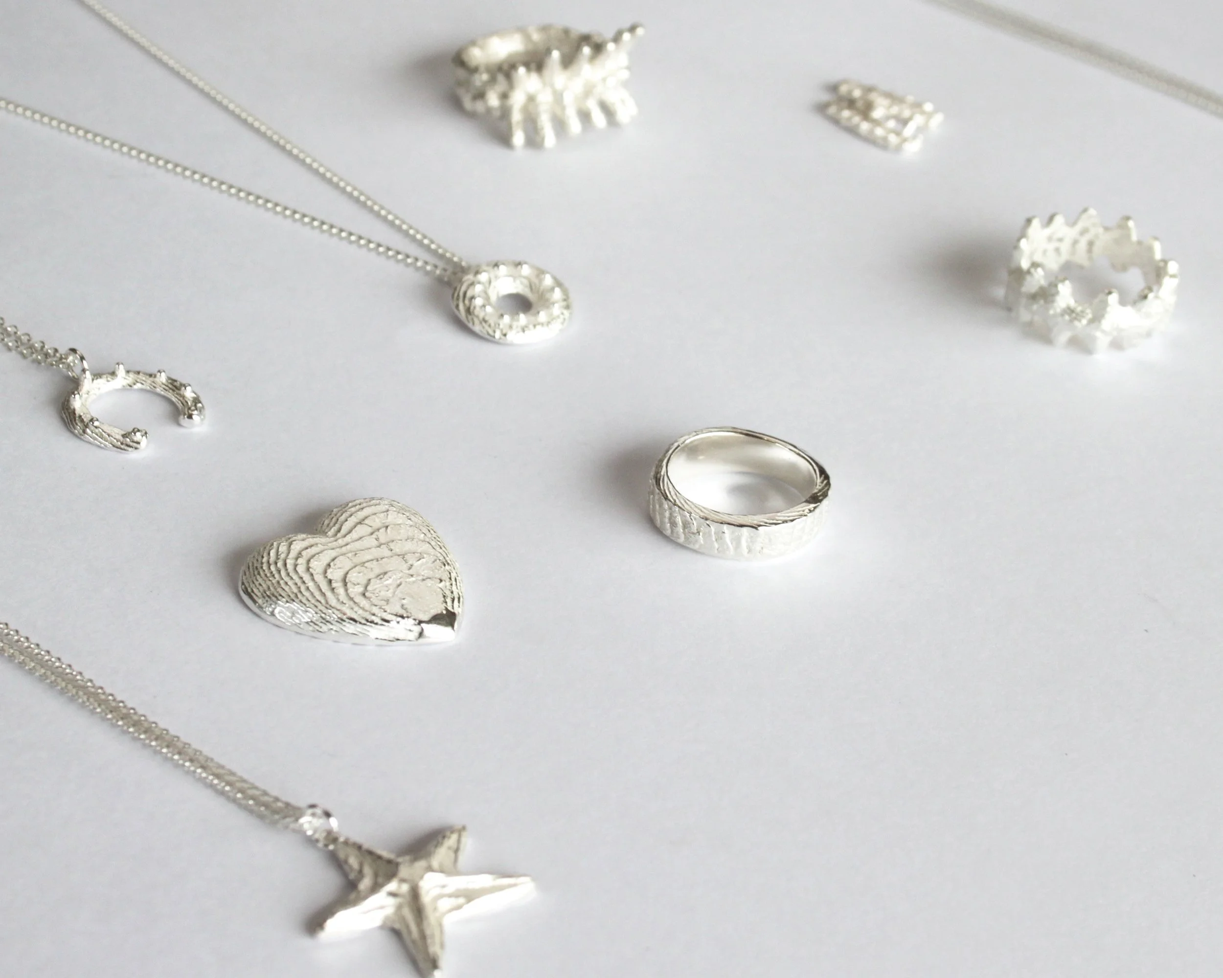 Cuttlefish Casting Workshop