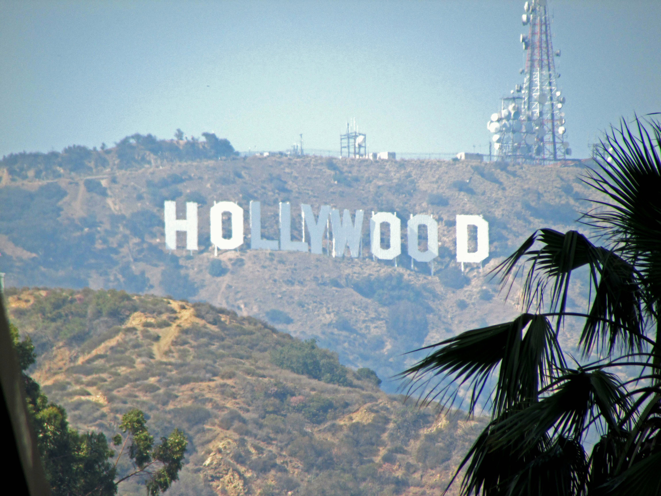 From Sea To Shining Sea Welcome To The Jungle Los Angeles Usa Kurt Writes Things