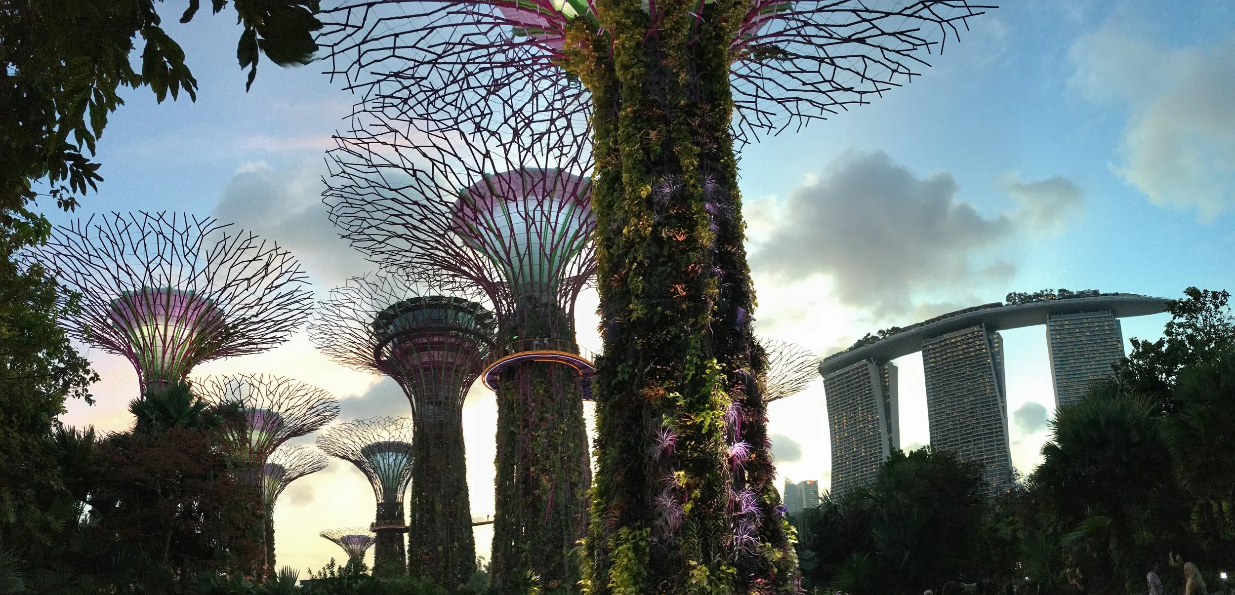 Super Trees And Marina Bay Sands, Singapore.jpg