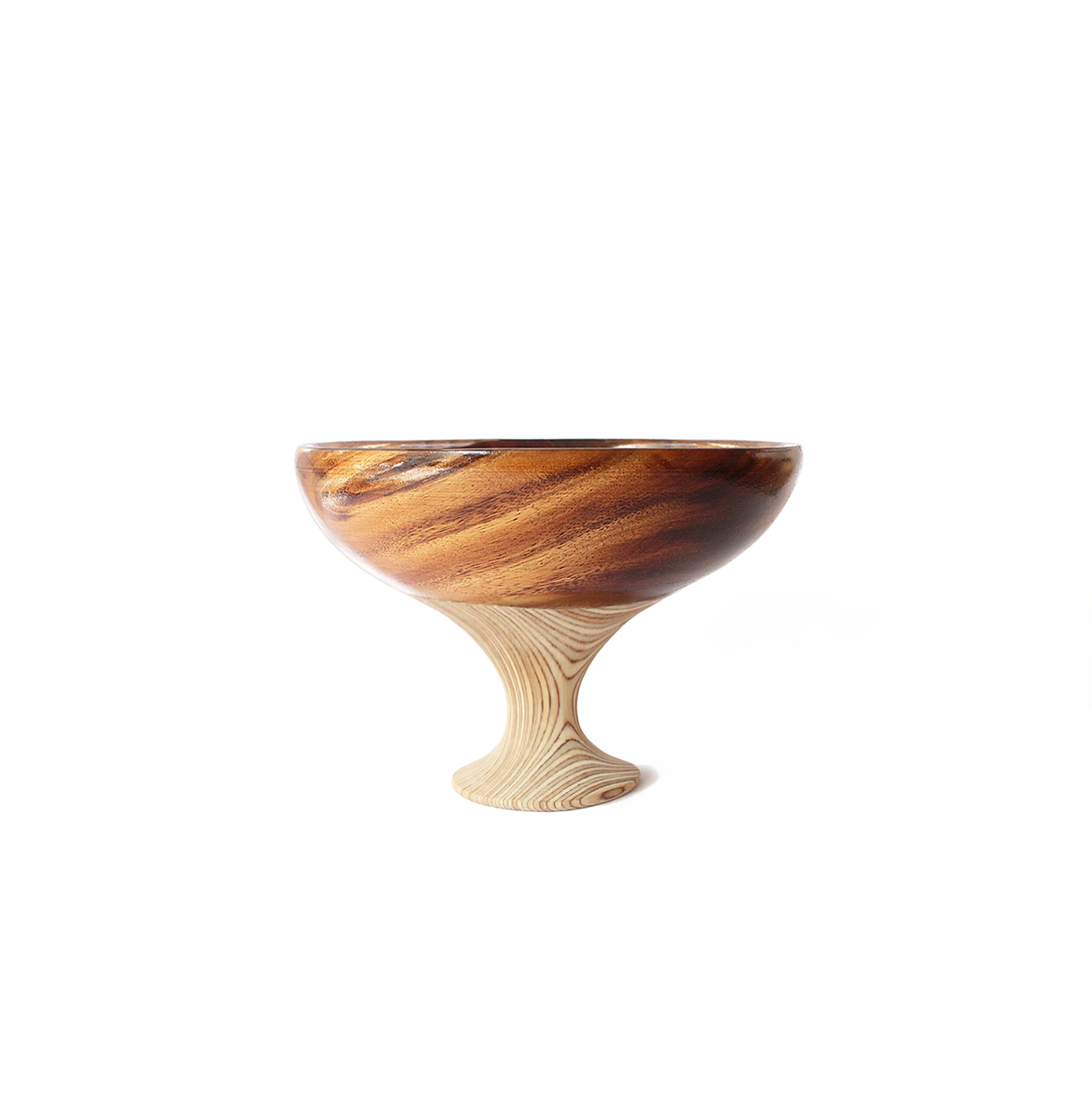 Chinese Elm Bonsai Seed