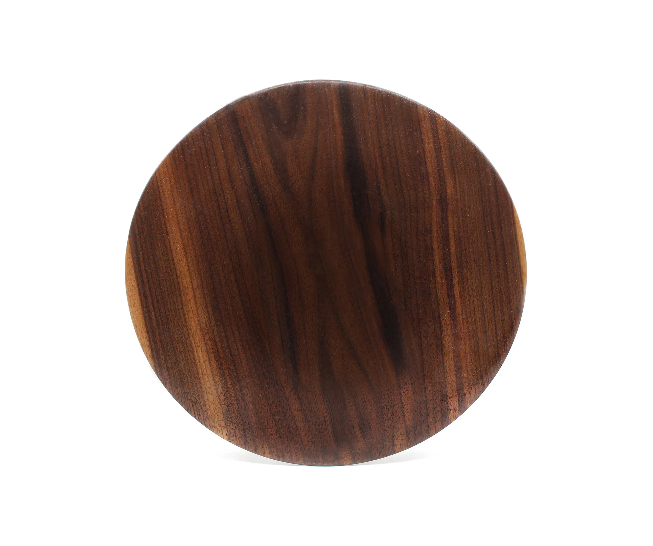 Chinese Elm Bonsai Seed