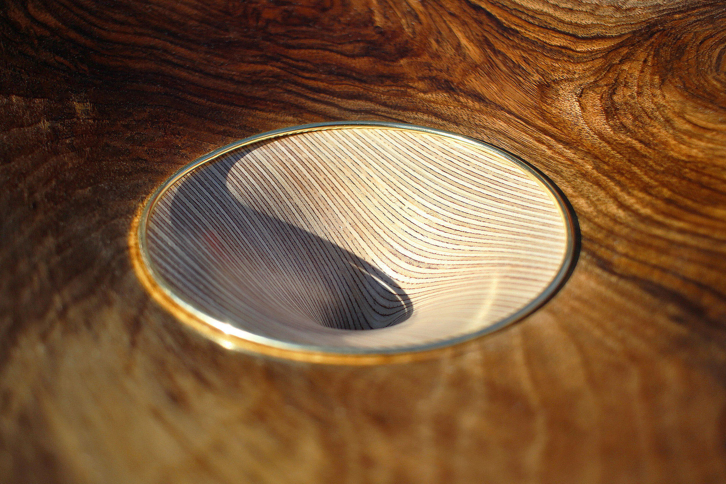 IMG_3419 copy low copy.JPG