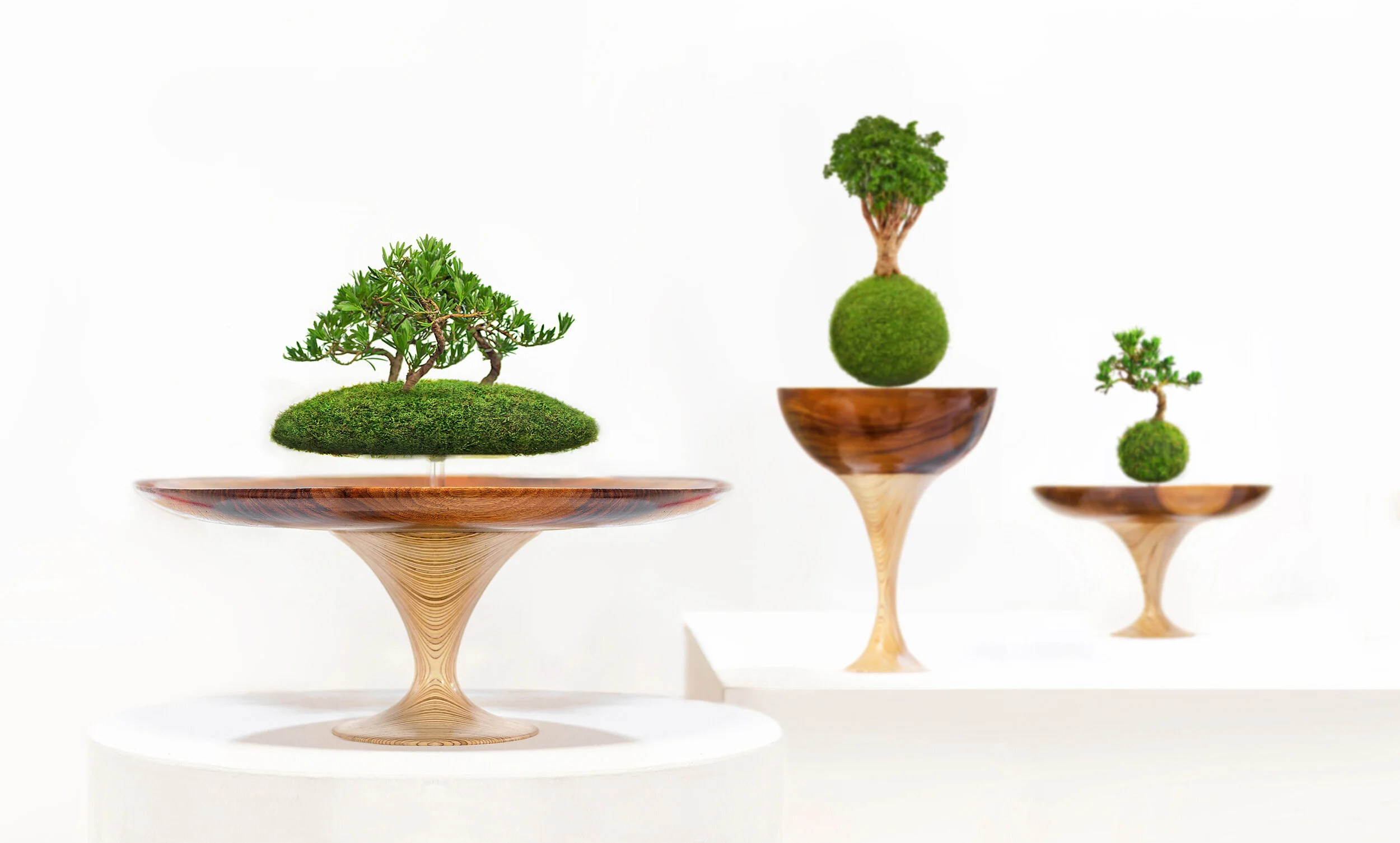 - Memories of Green General copy.jpg