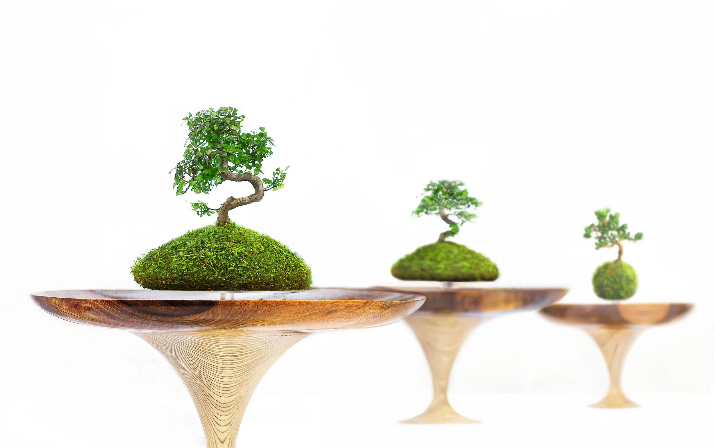 Memories of Green 2 Edited.jpg