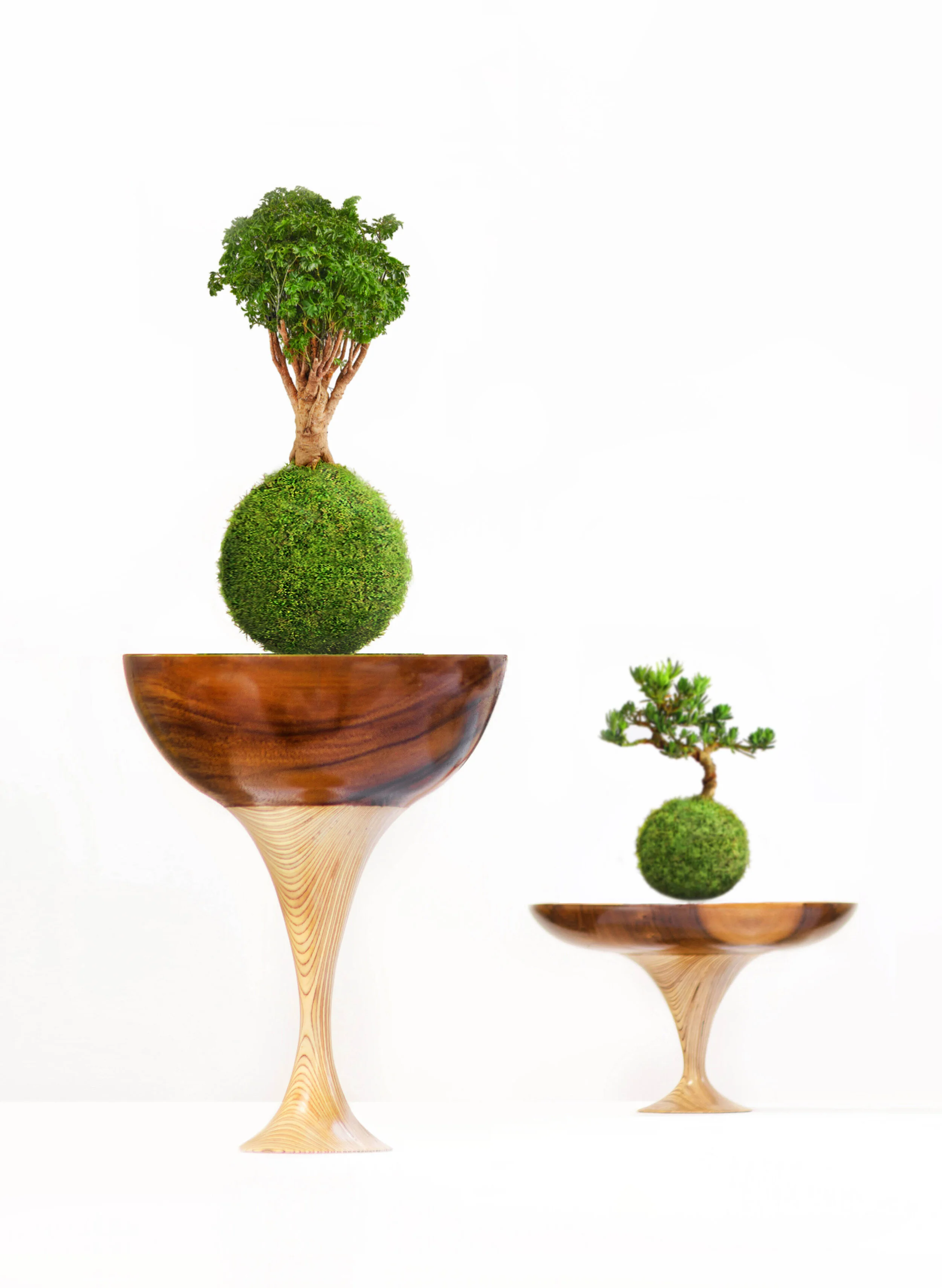 Memories of Green 4.jpg