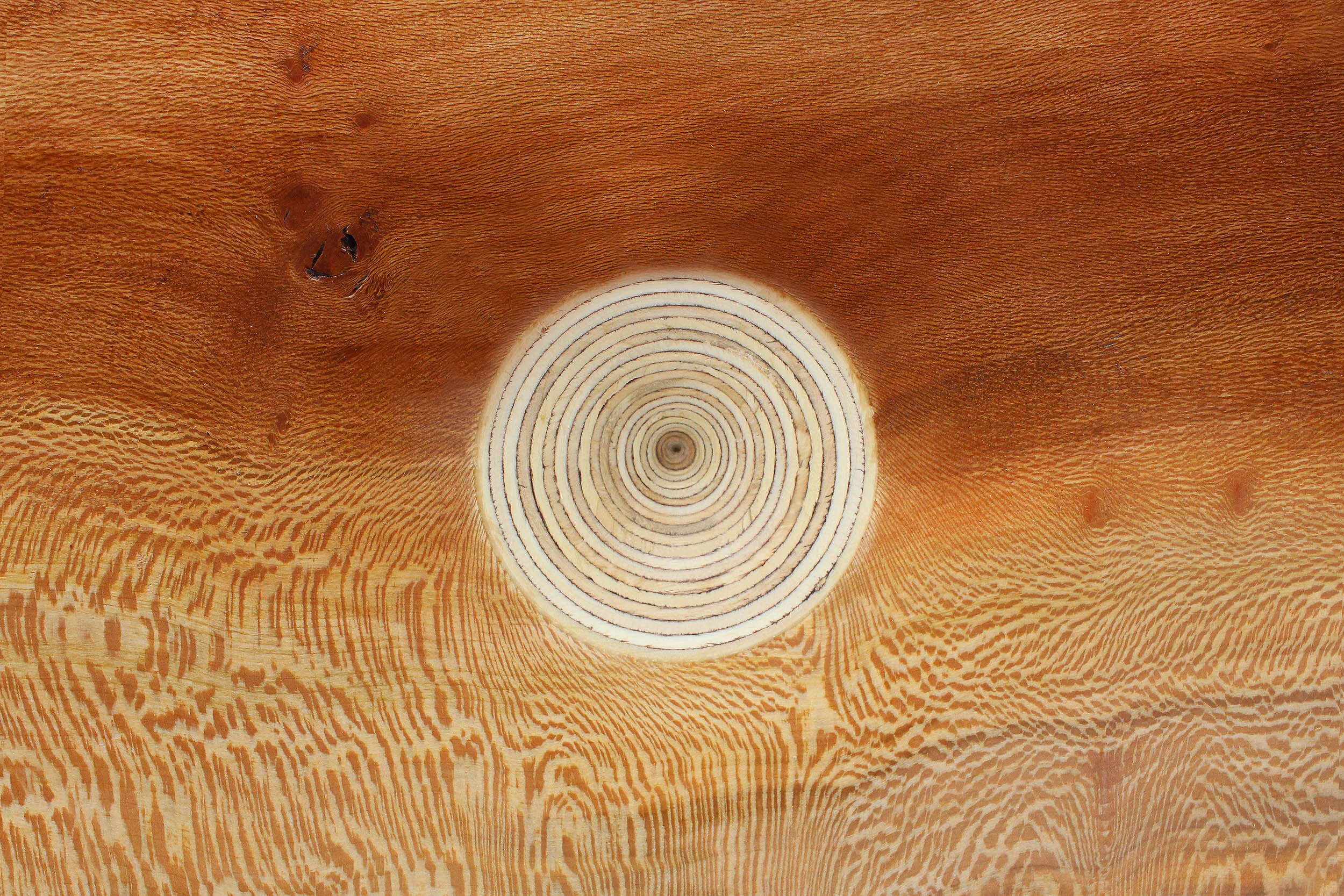 London Plane Plate woodturning.jpg