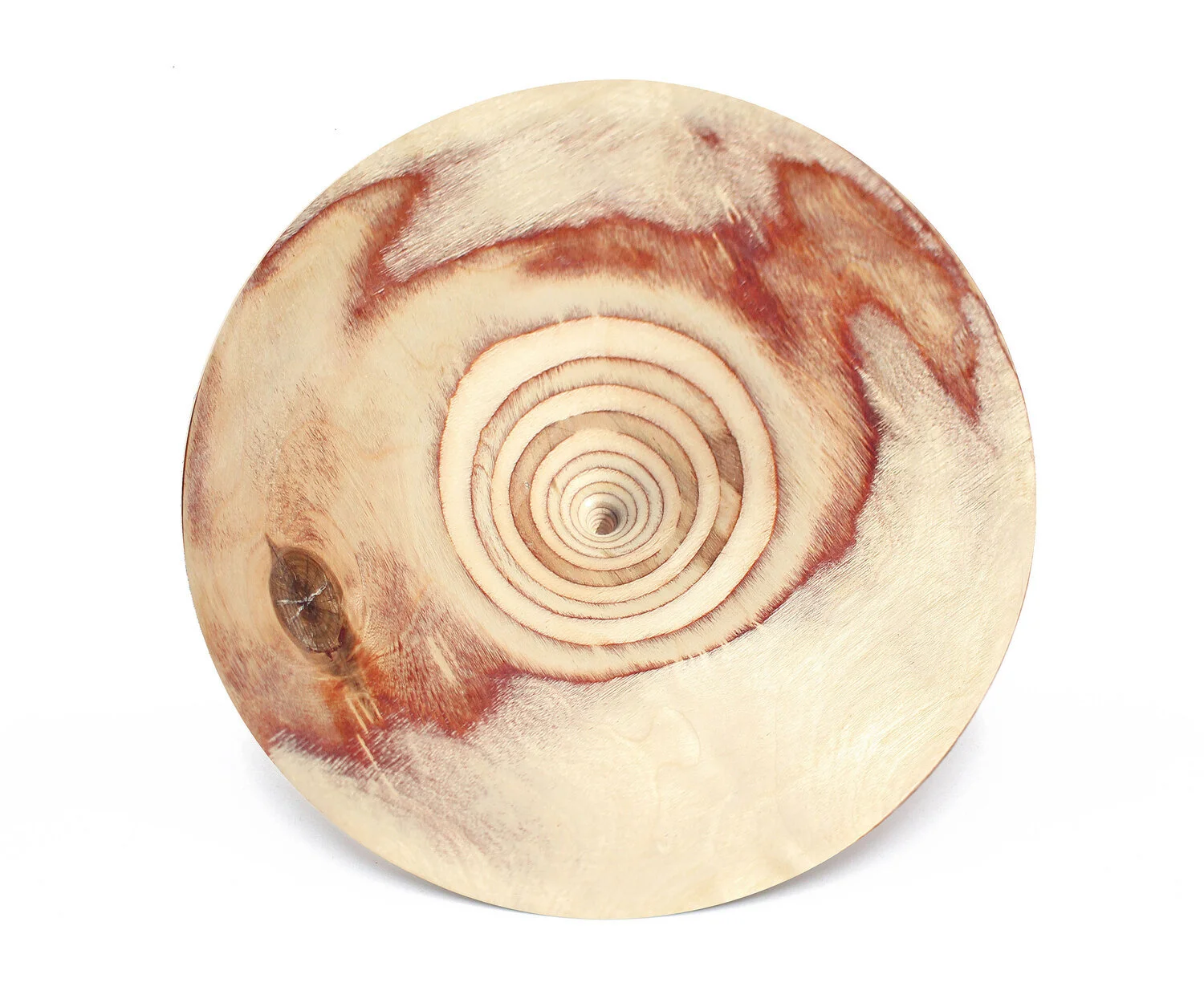 Deluxe Bird Nest & Moss