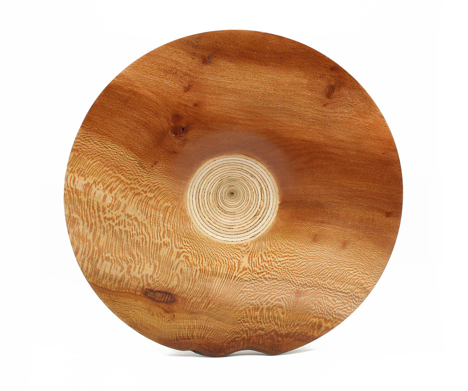 Deluxe Bird Nest & Moss