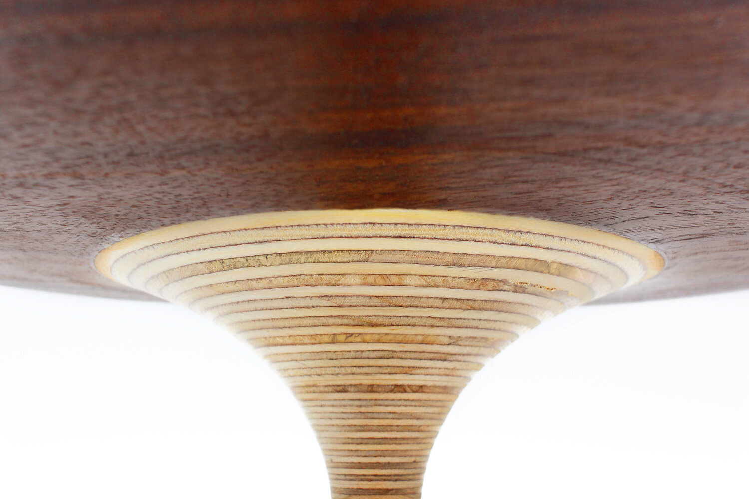 Walnut Disc Detail.jpg