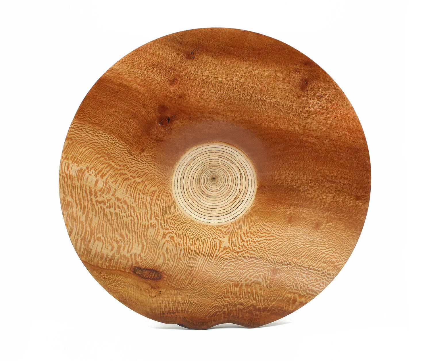 Deluxe Falcatus Fern & Moss