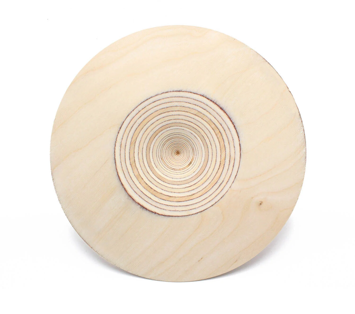 Deluxe Bird Nest & Moss