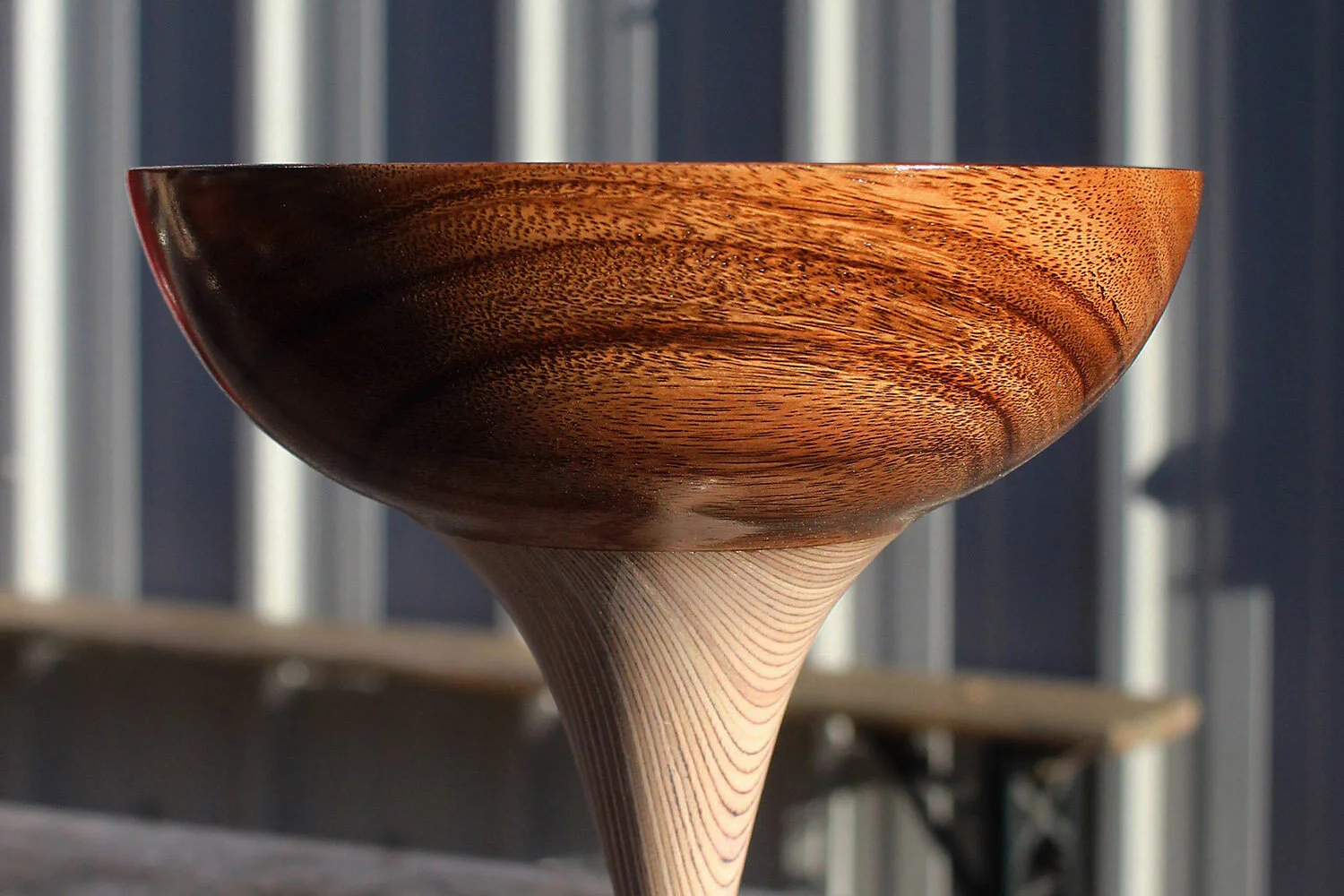 Arturo Soto - Majestic2 copy.jpg