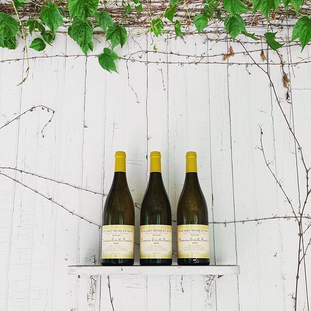 It&rsquo;s the perfect day for some MUSCADET! Grab a glass at @12secondstreet and enjoy it in the garden or back patio (open 2PM-close), and/or grab a bottle from @22secondstreet for an evening backyard hang!