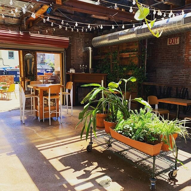 The garden is OPEN all day for coffee and egg sandwiches from @littlepecks wine and cheese from @12secondstreet or PIZZA from @donnasitalian ☀️🌿🥂