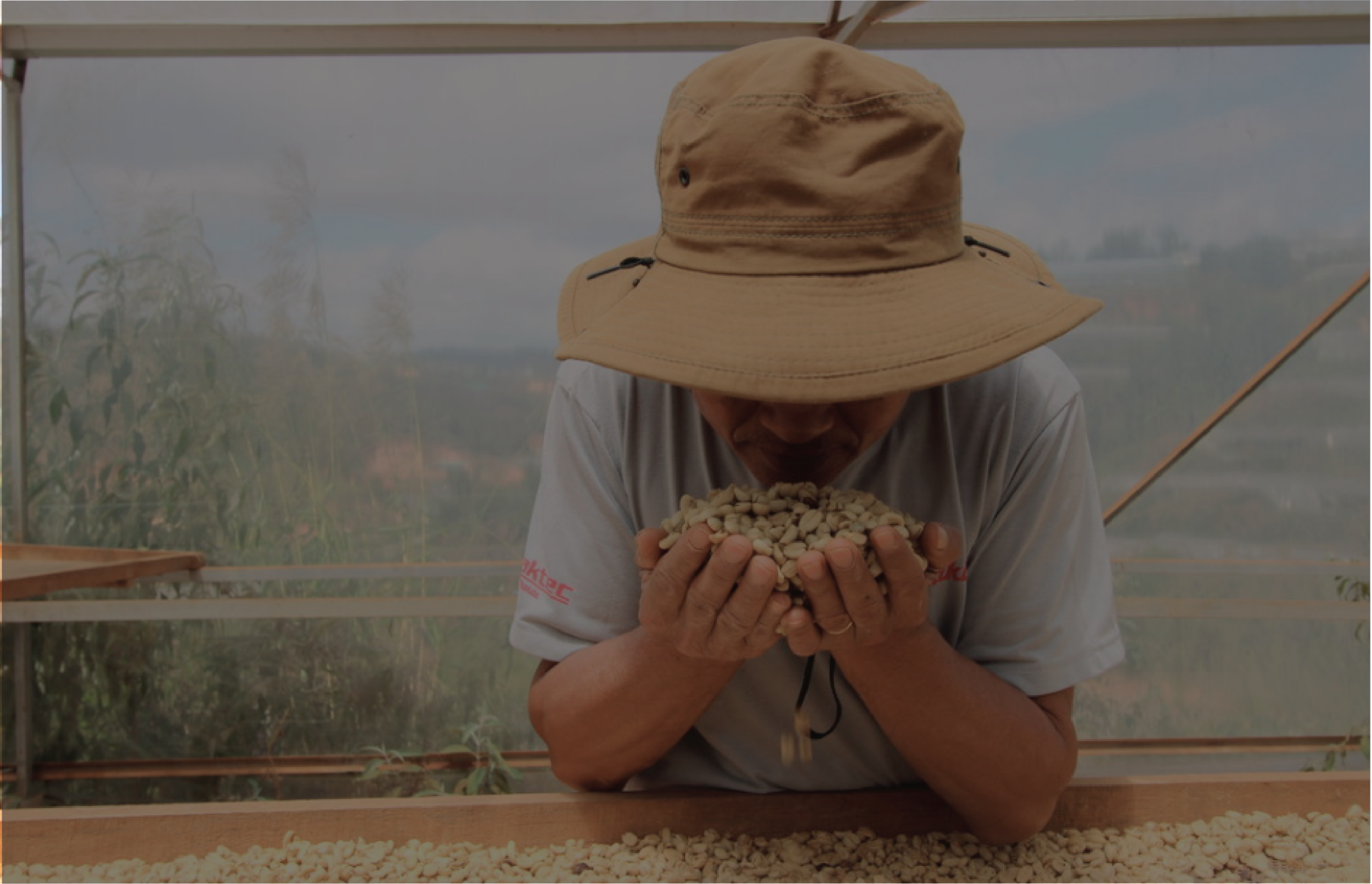 Meet Son: The Farmer Who Helped Us Find Our Path