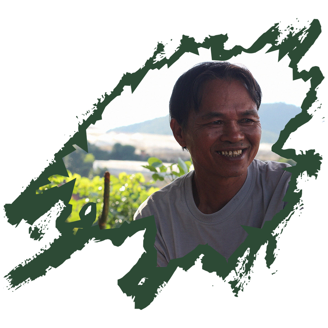 Mr Son Coffee Farmer