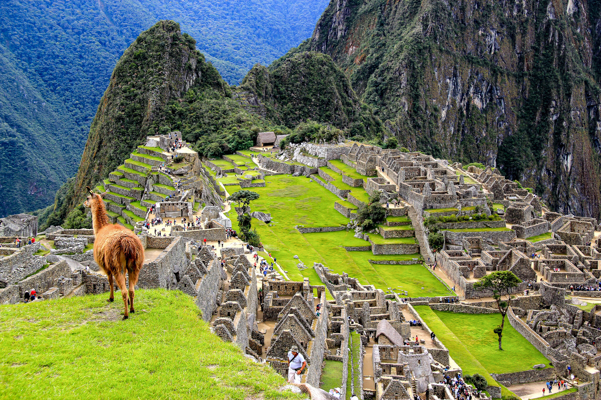 Peru - Machu Picchu-2.jpg