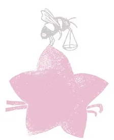 VanillaCheesecake_Top-pink.jpg