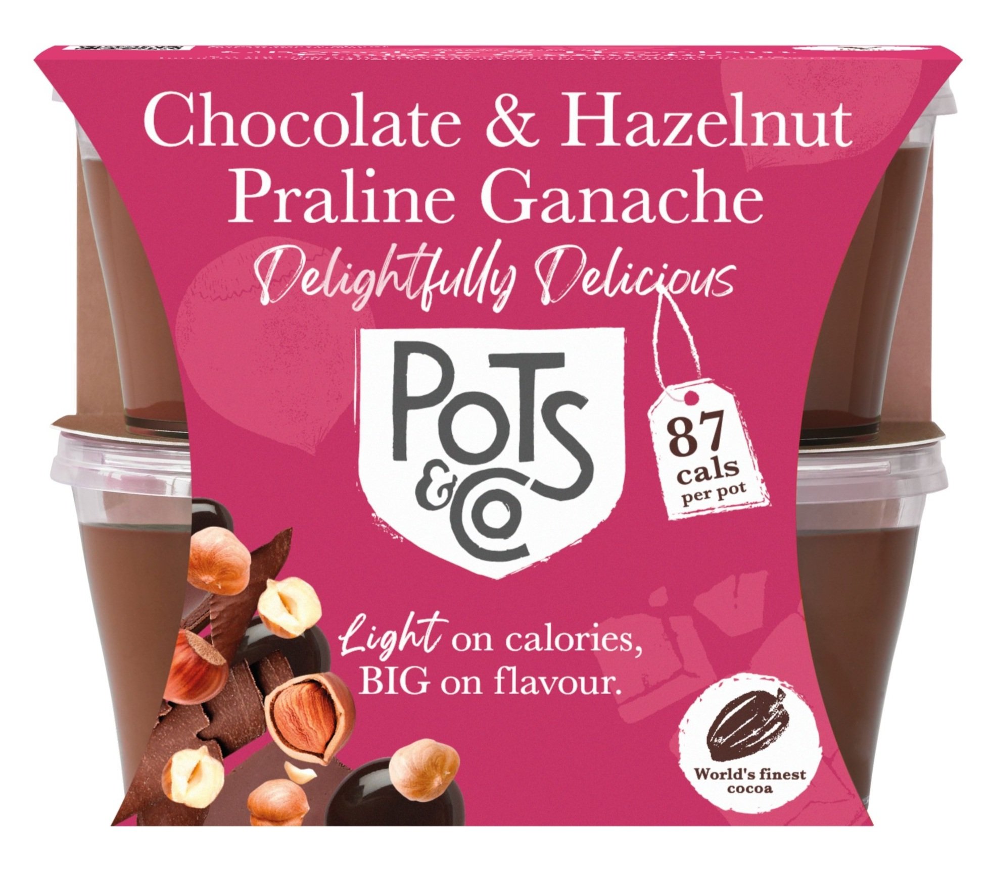 Chocolate & Hazelnut Praline Ganache — Pots & Co
