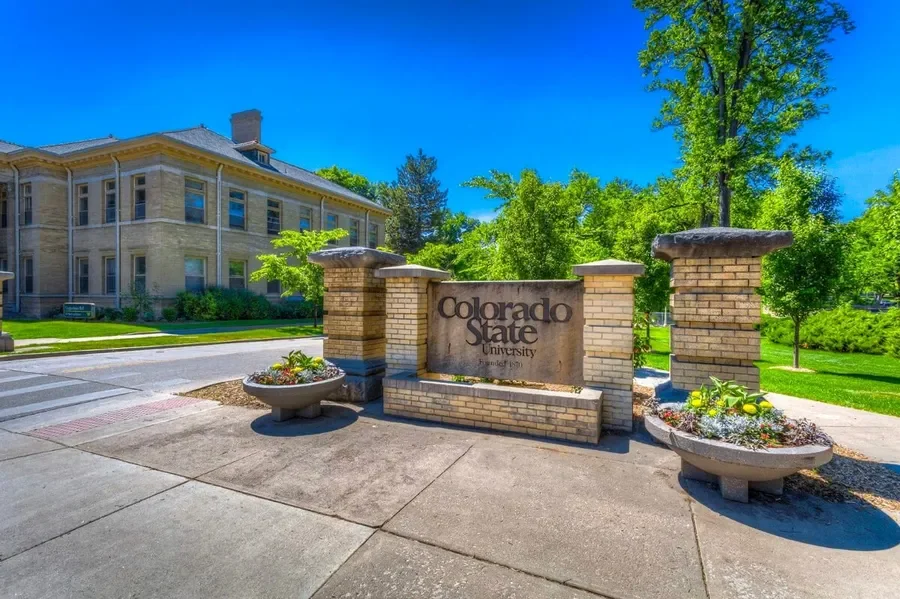 Storage Tips for Colorado State University Students