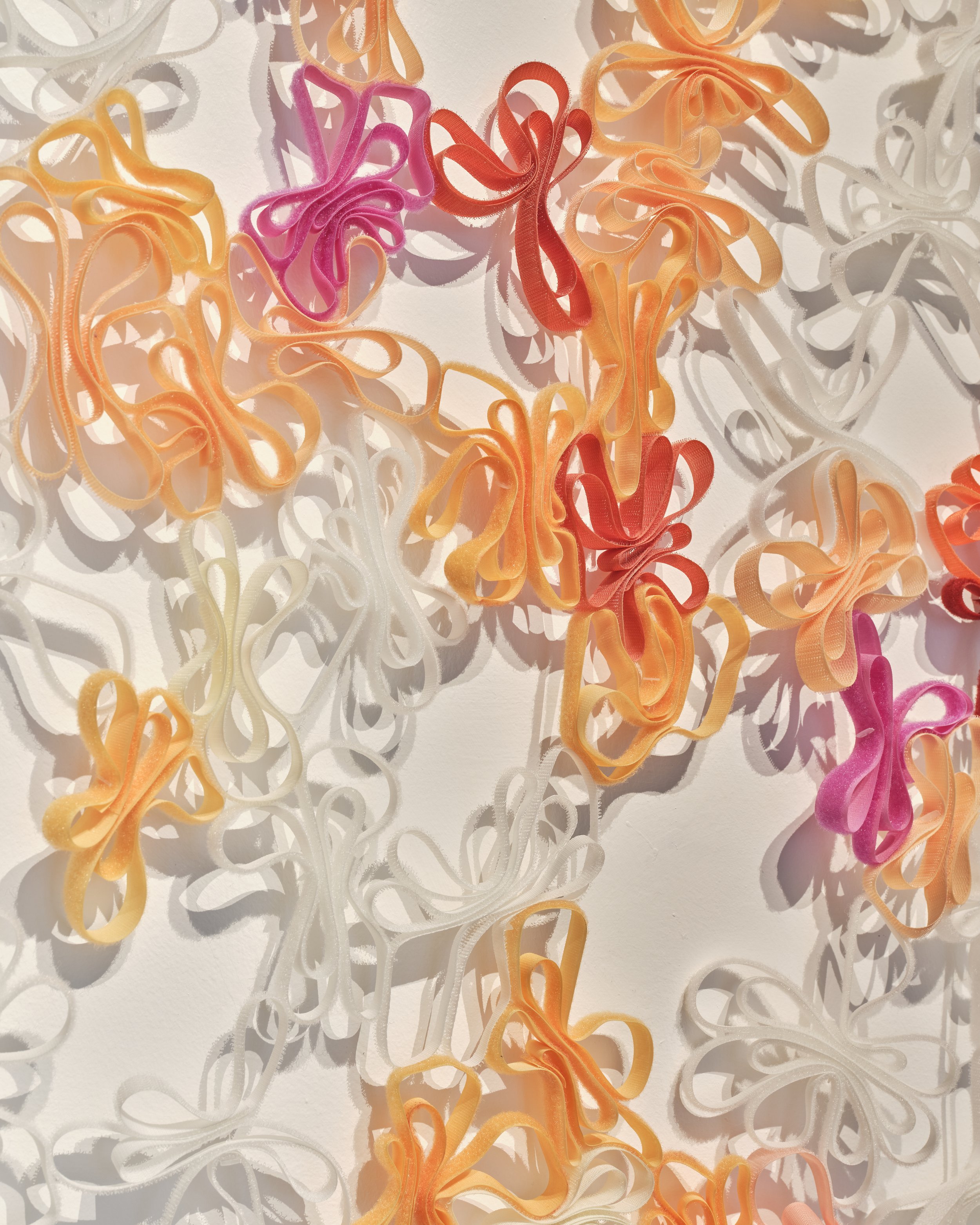 20231031 Rachel Fitzpatrick 010.jpeg