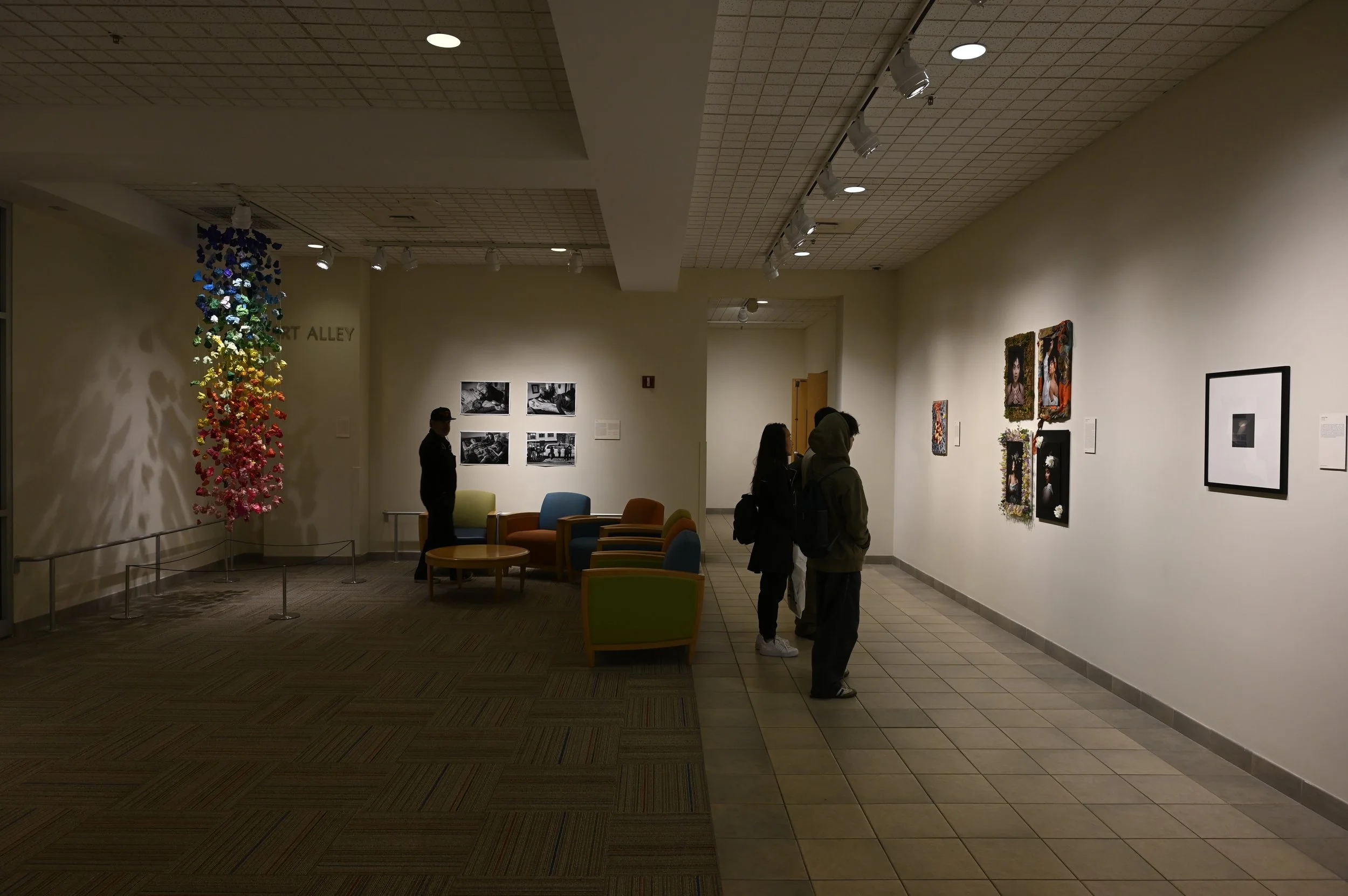 RF12 Tannaz Amin.JPG