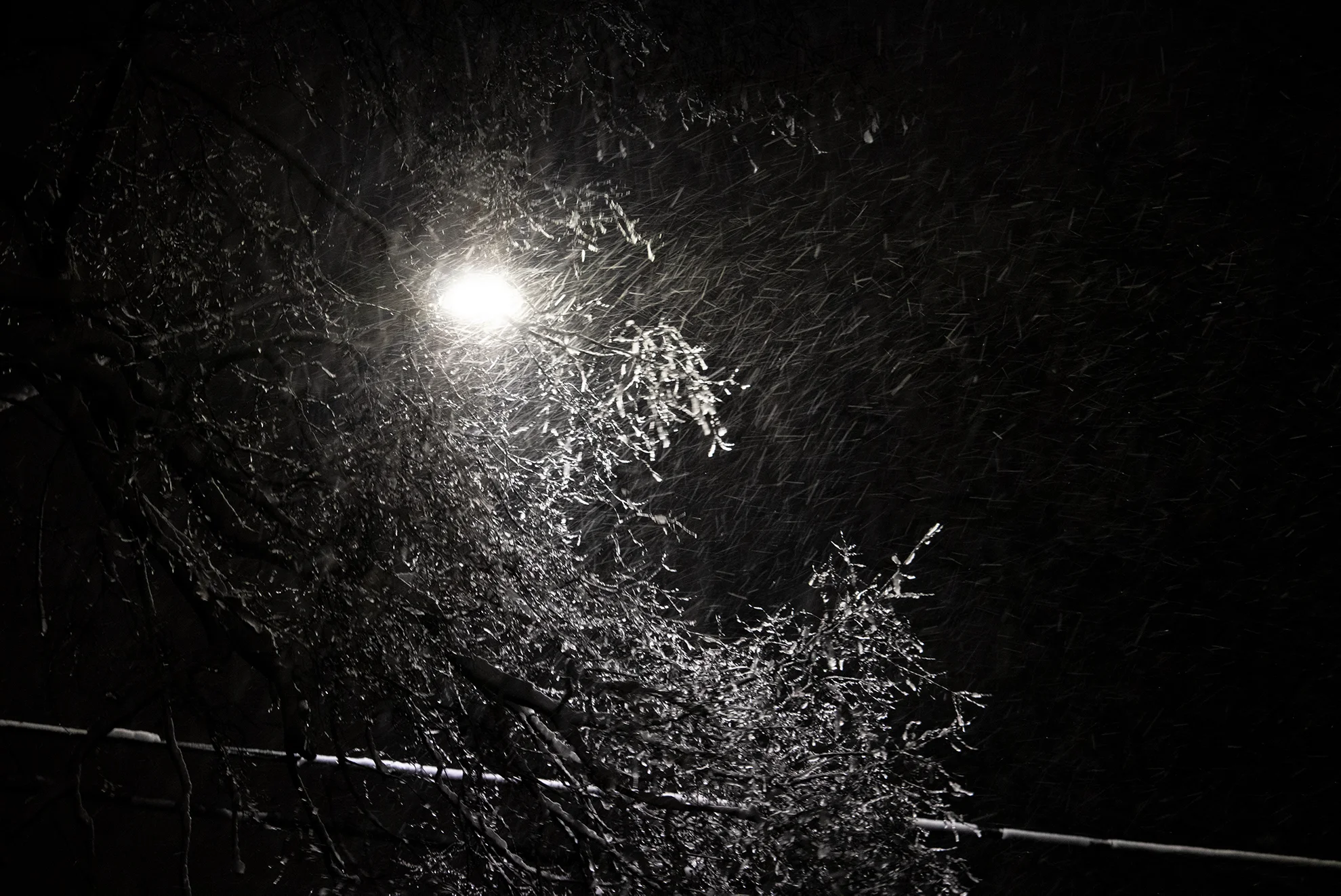 Lights3.jpg