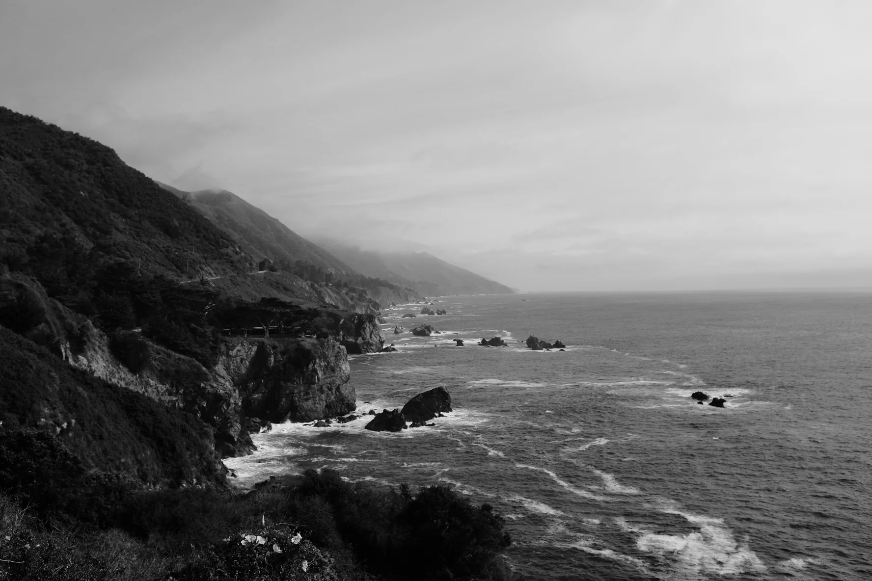coastline.JPG