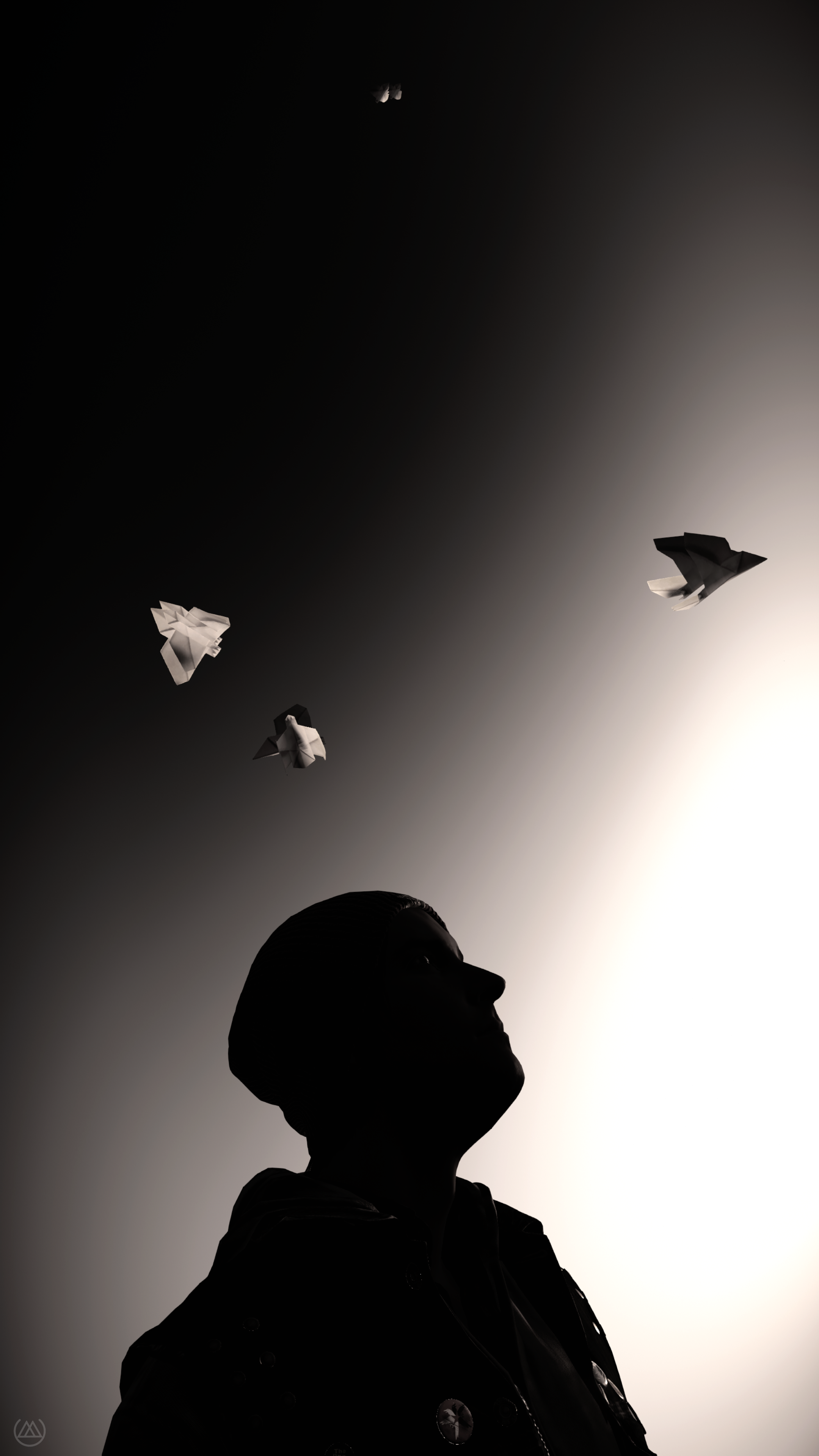 Paper-Birds.png